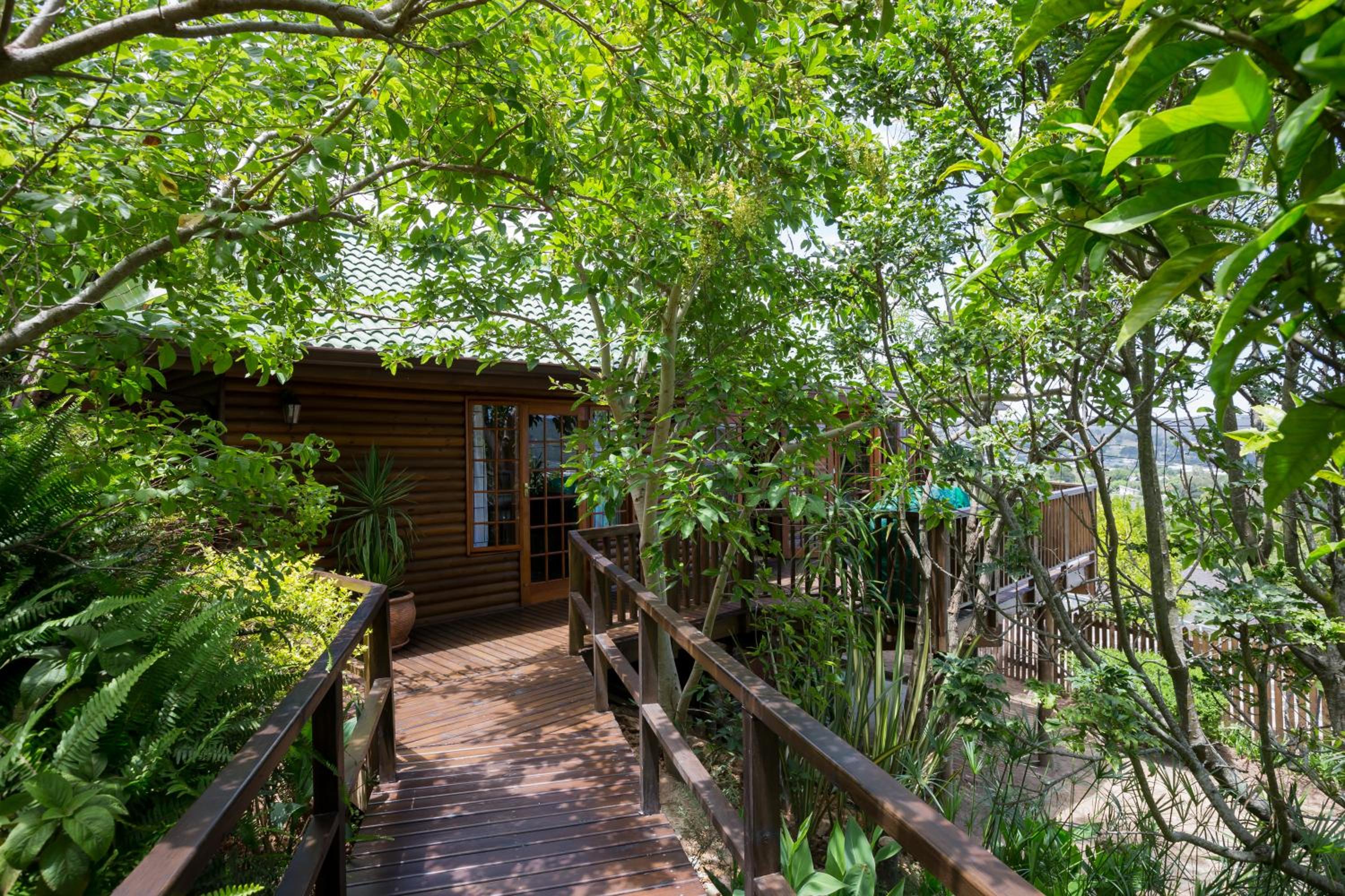 Big Tree House Lodge