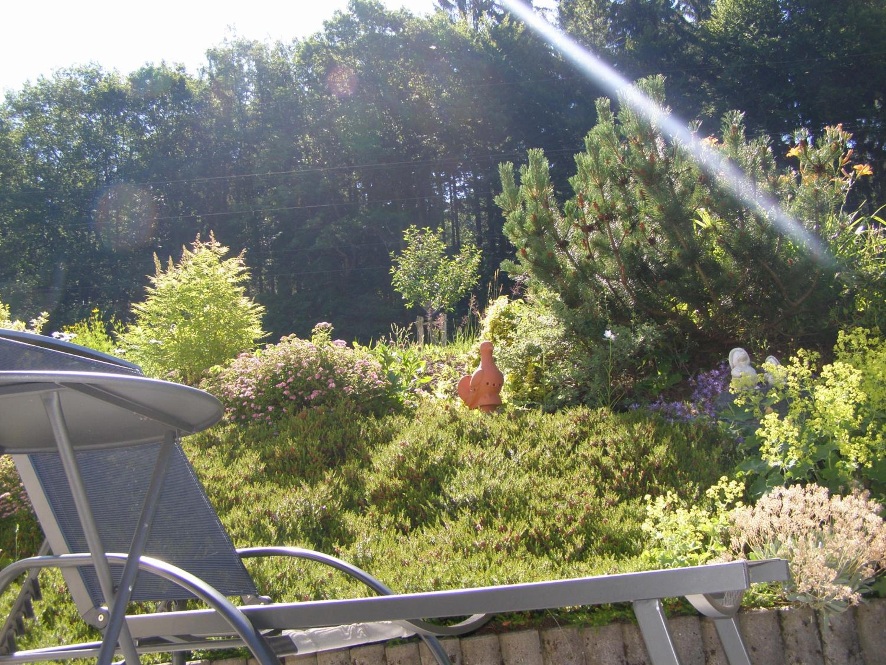 Photo 30
