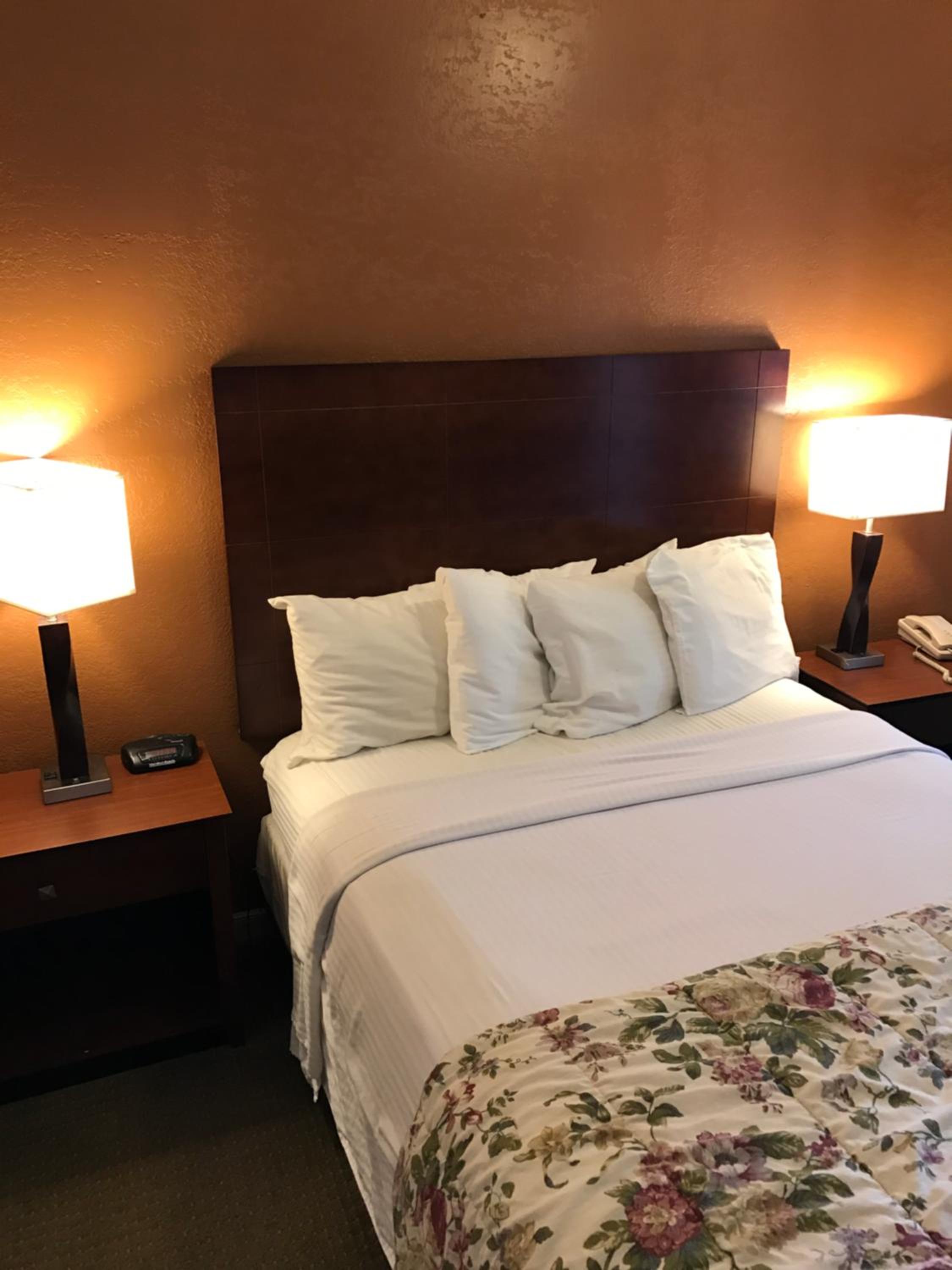 Gold Pan Lodge view 5