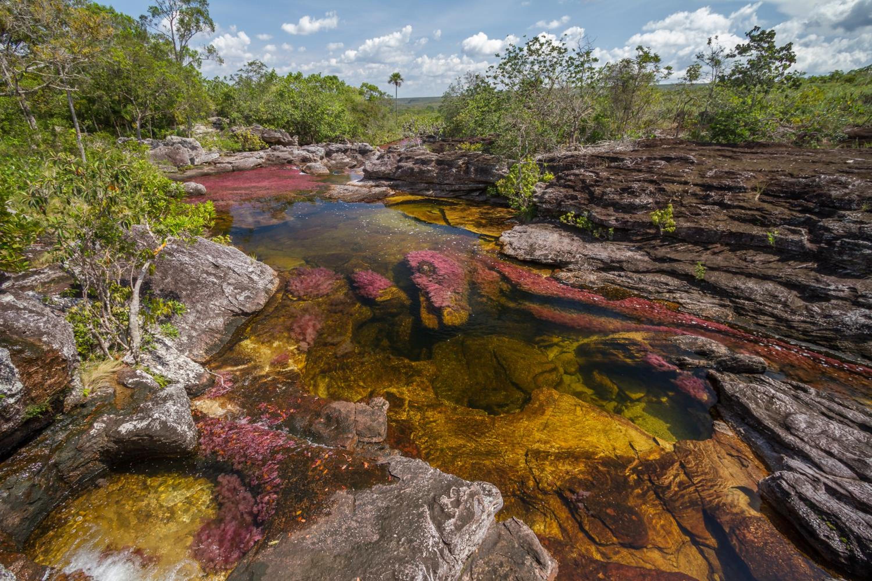 Photo 30