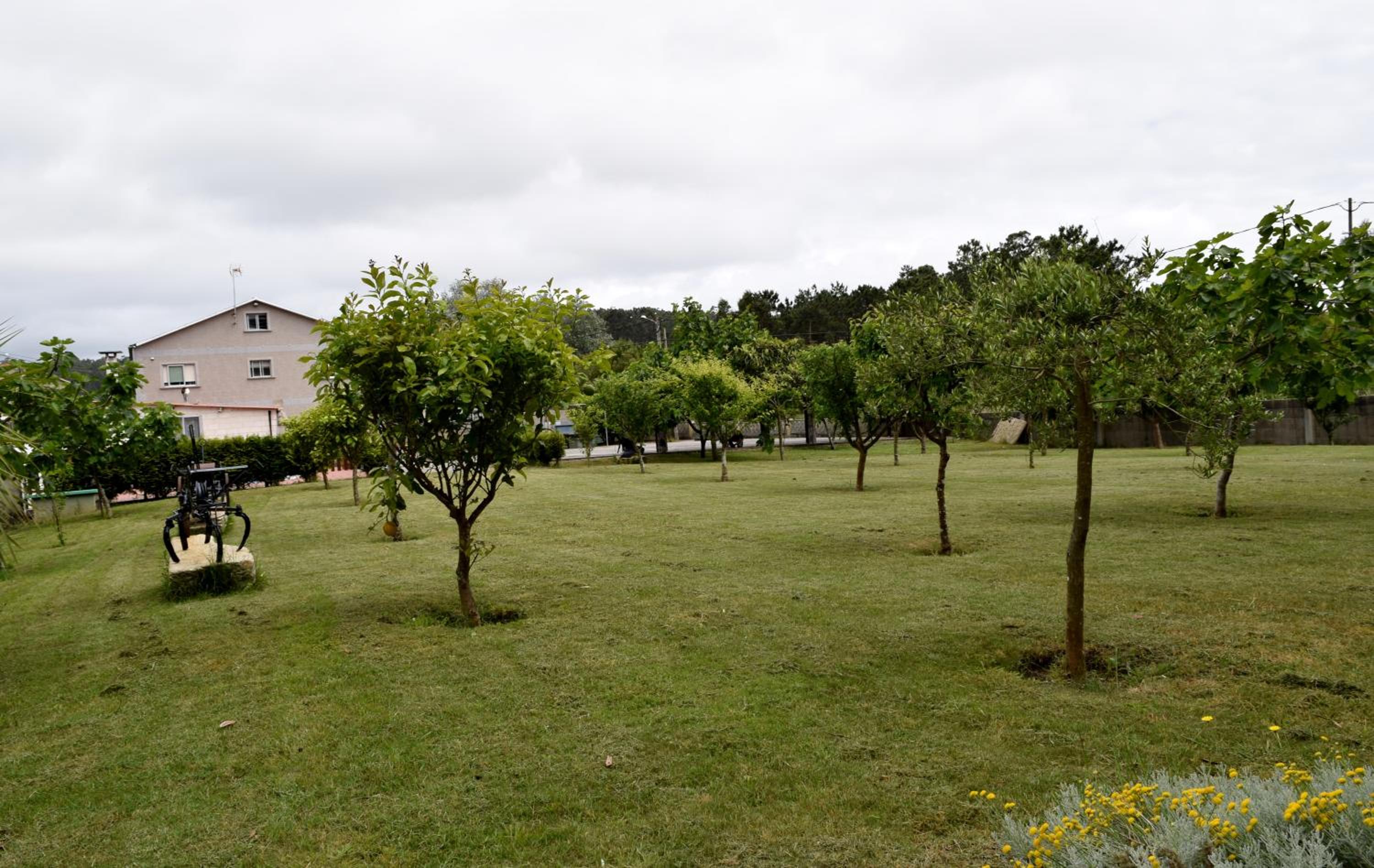 Photo 24