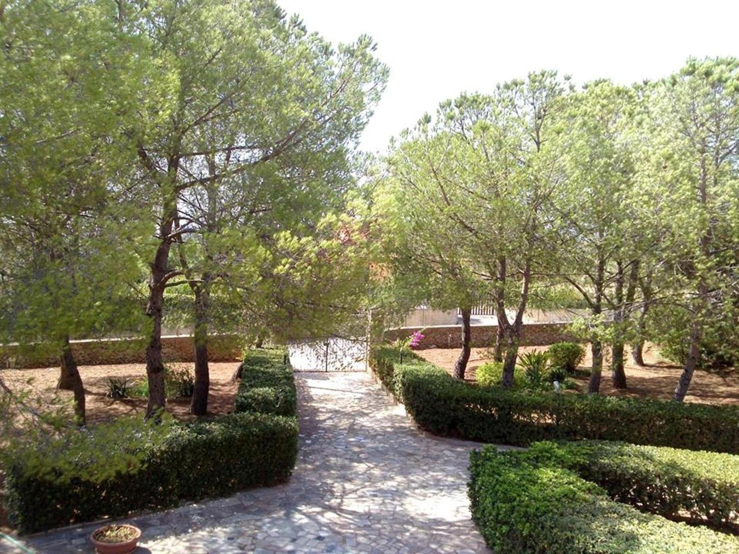 Photo 19