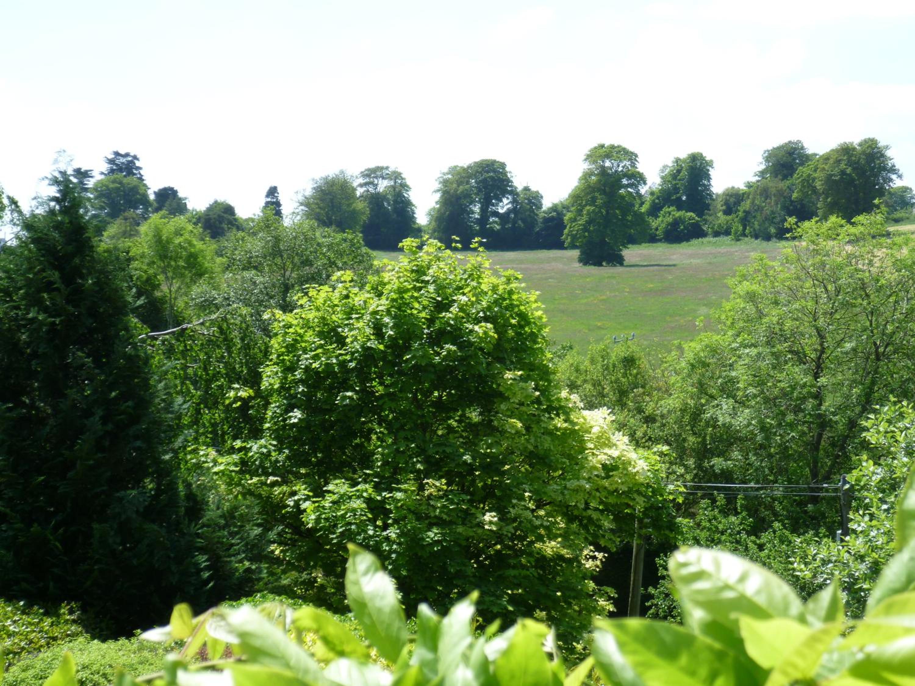 Diamond Hill Country House