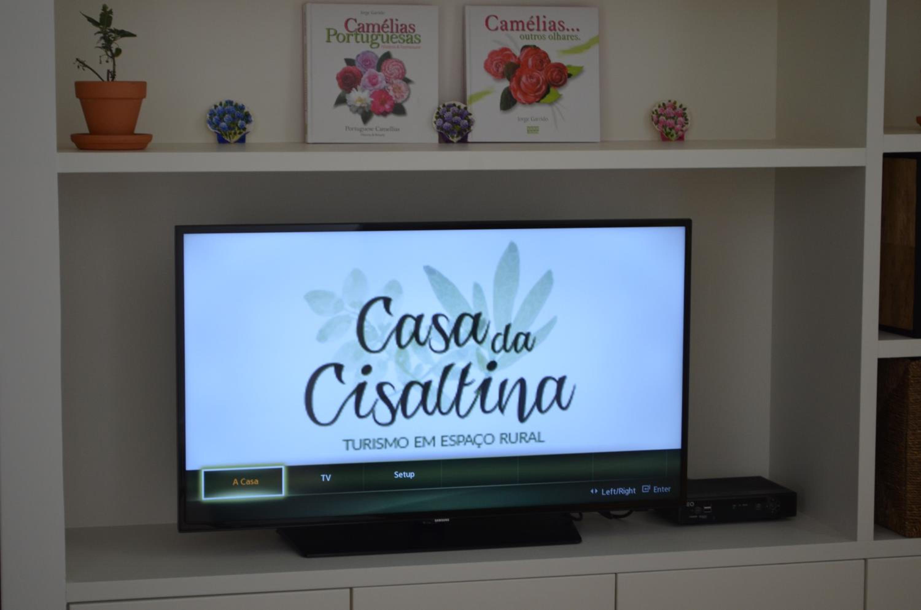 Casa da Cisaltina view 5
