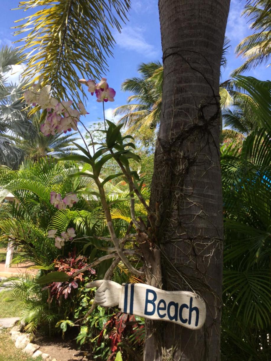Buccaneer Beach Club - Property Image 36