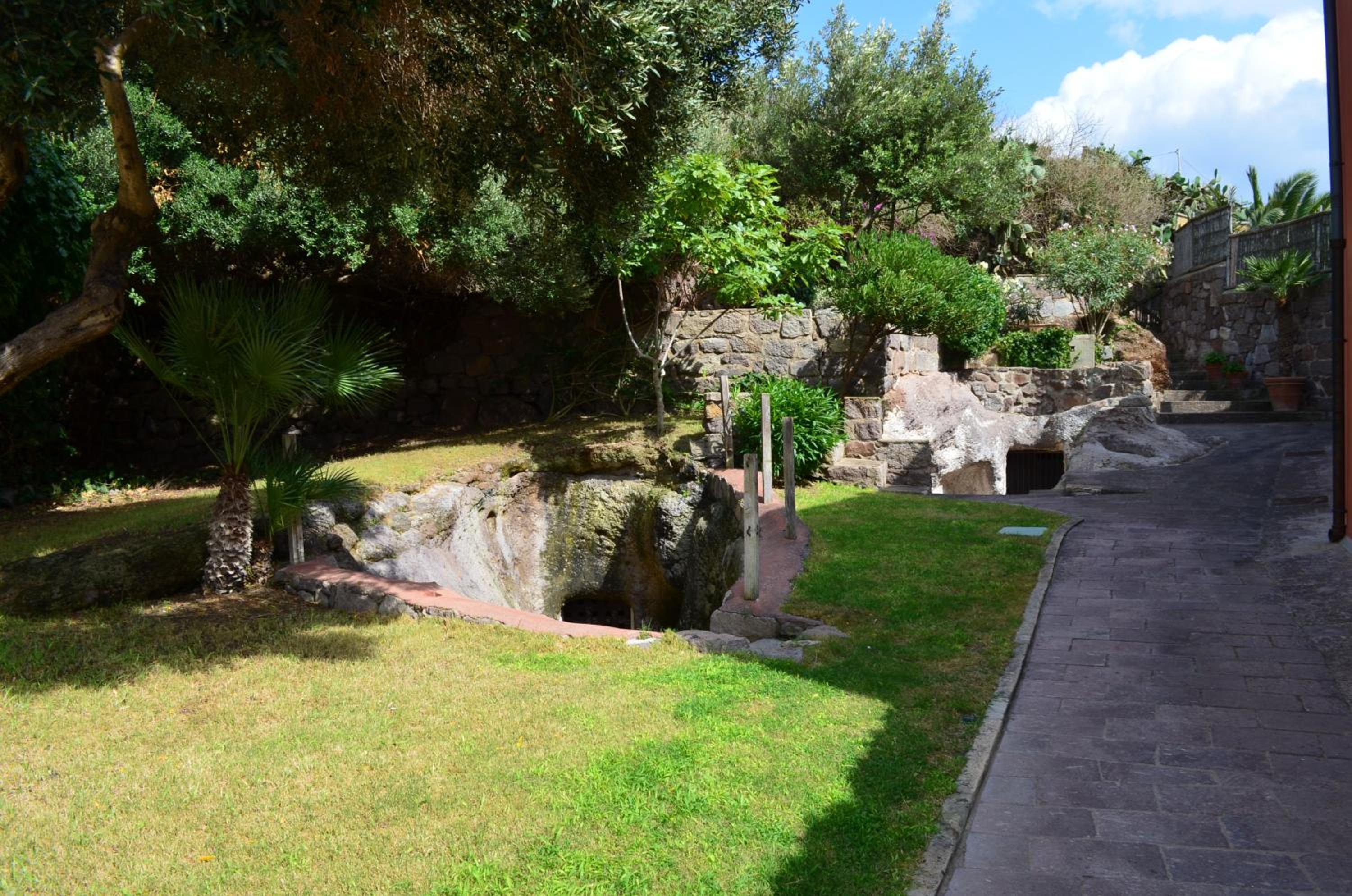 B&B Belvedere