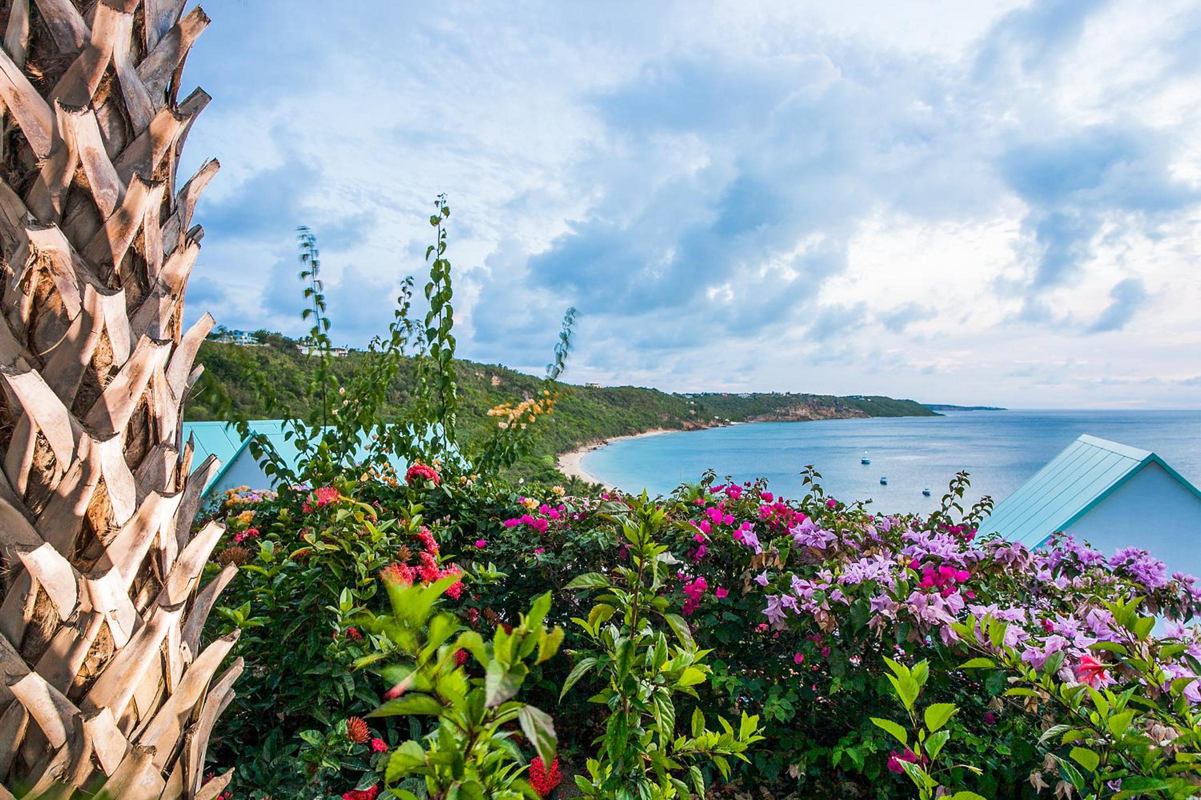 CeBlue Villas