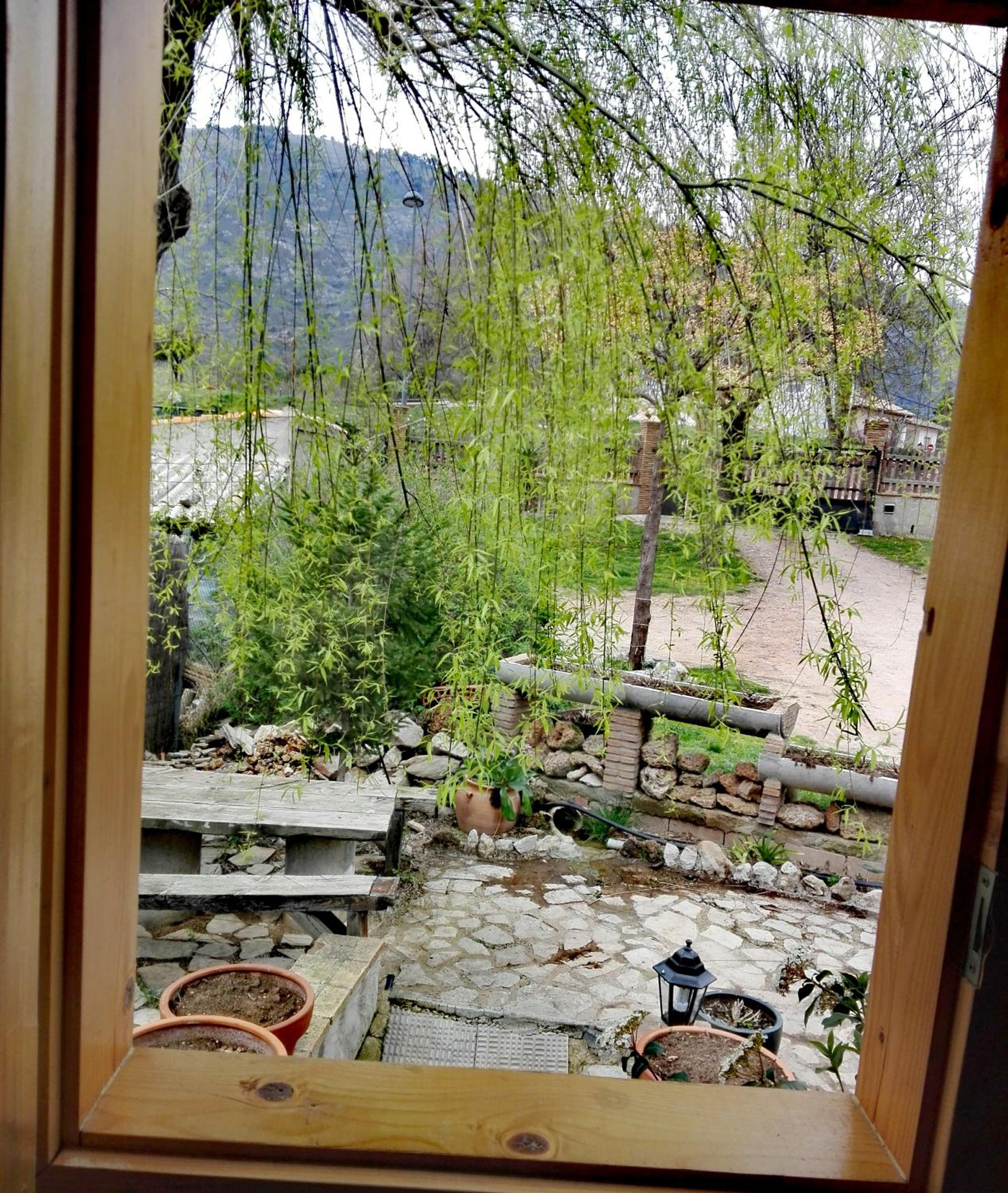 Photo 36