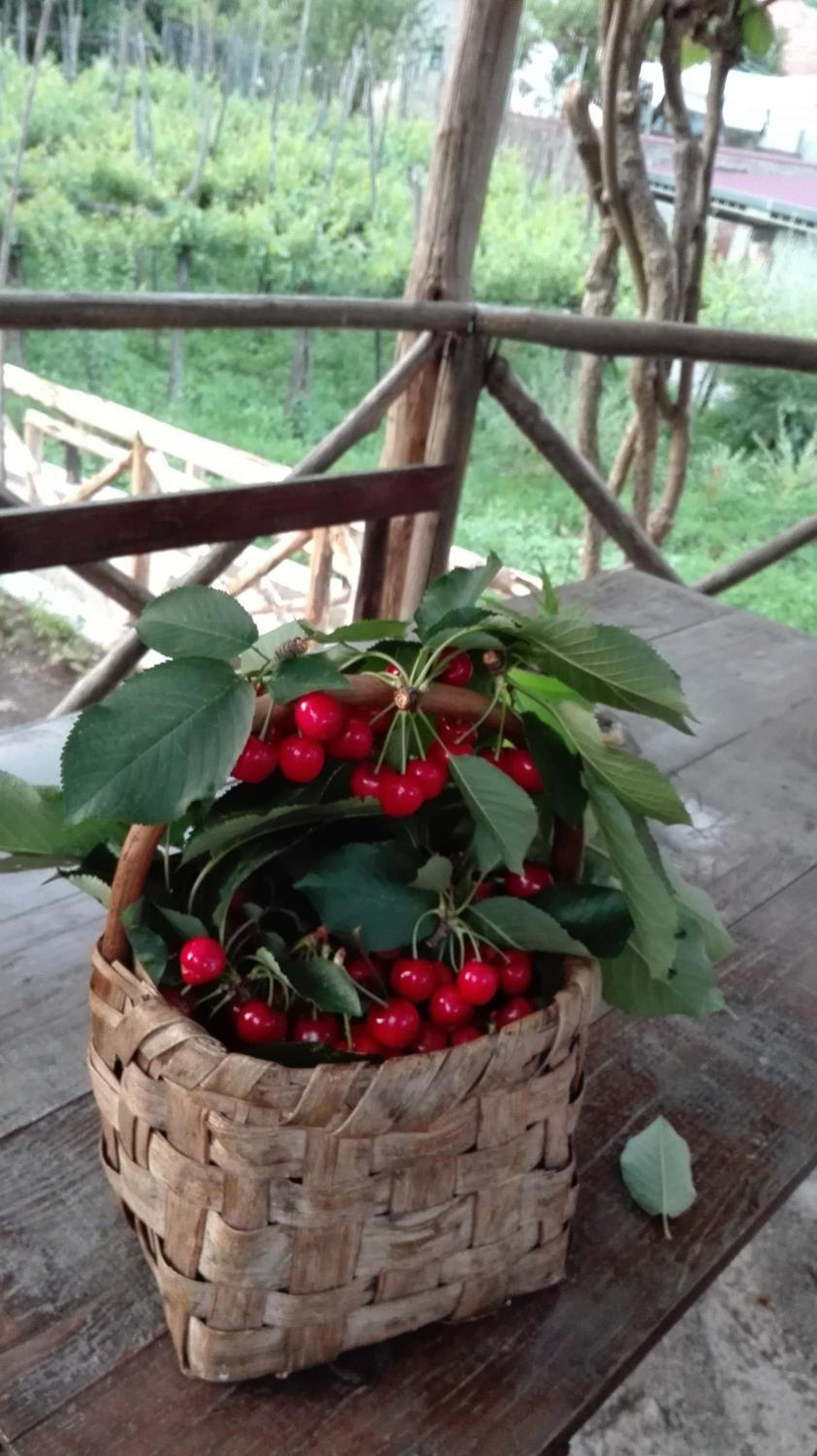 Agriturismo Mare e Monti