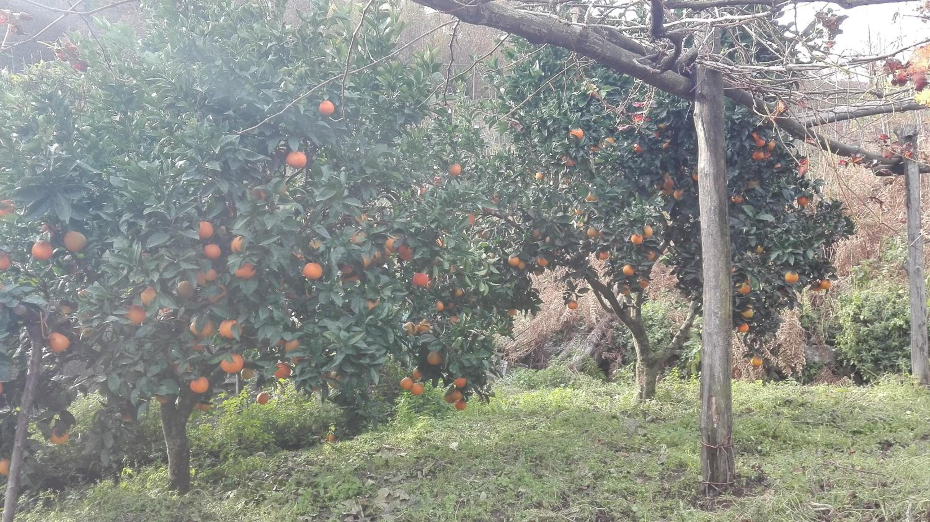 Agriturismo Mare e Monti