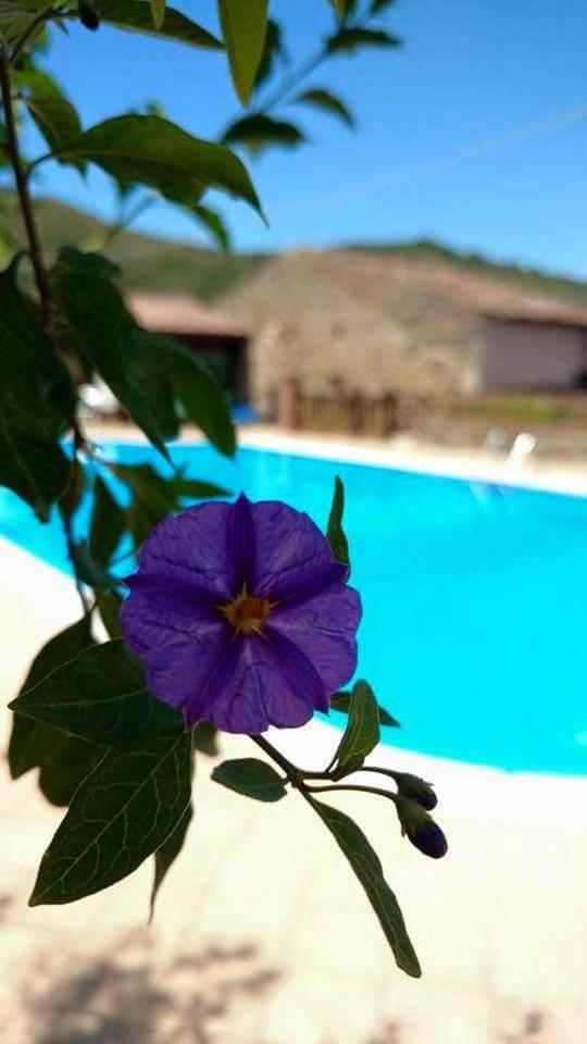 Agriturismo San Giorgio