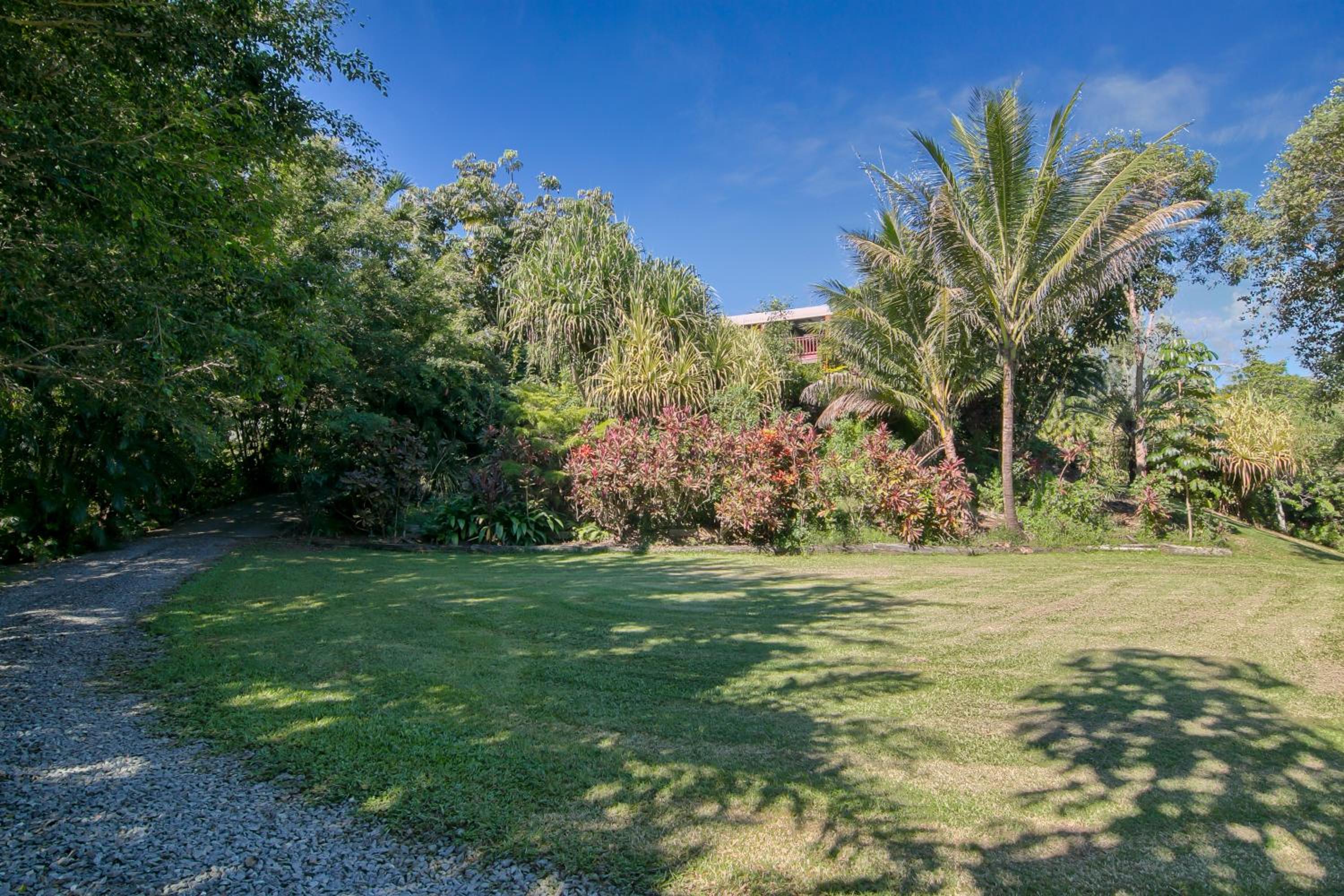 Daintree Manor B&B