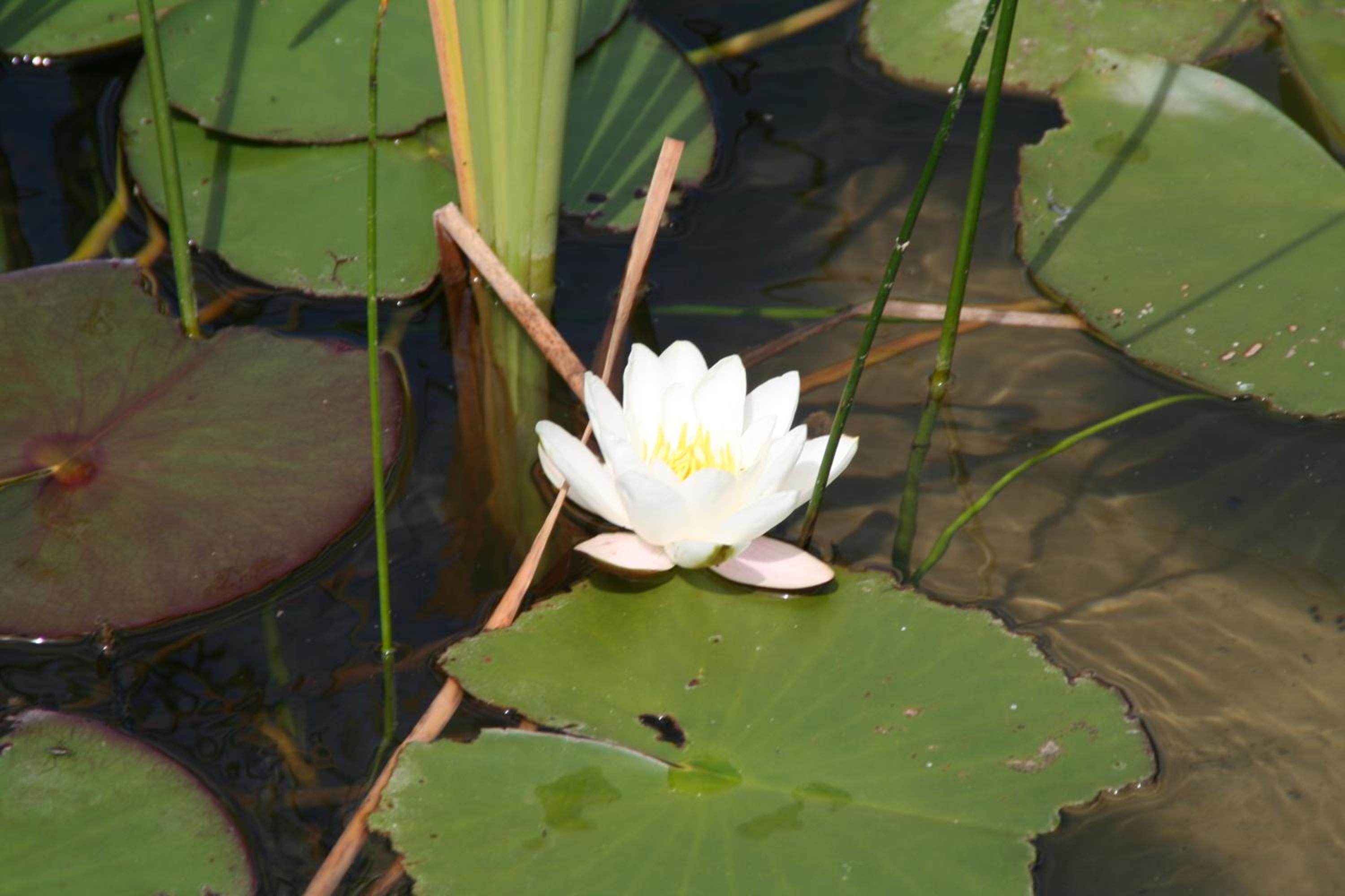 Photo 33