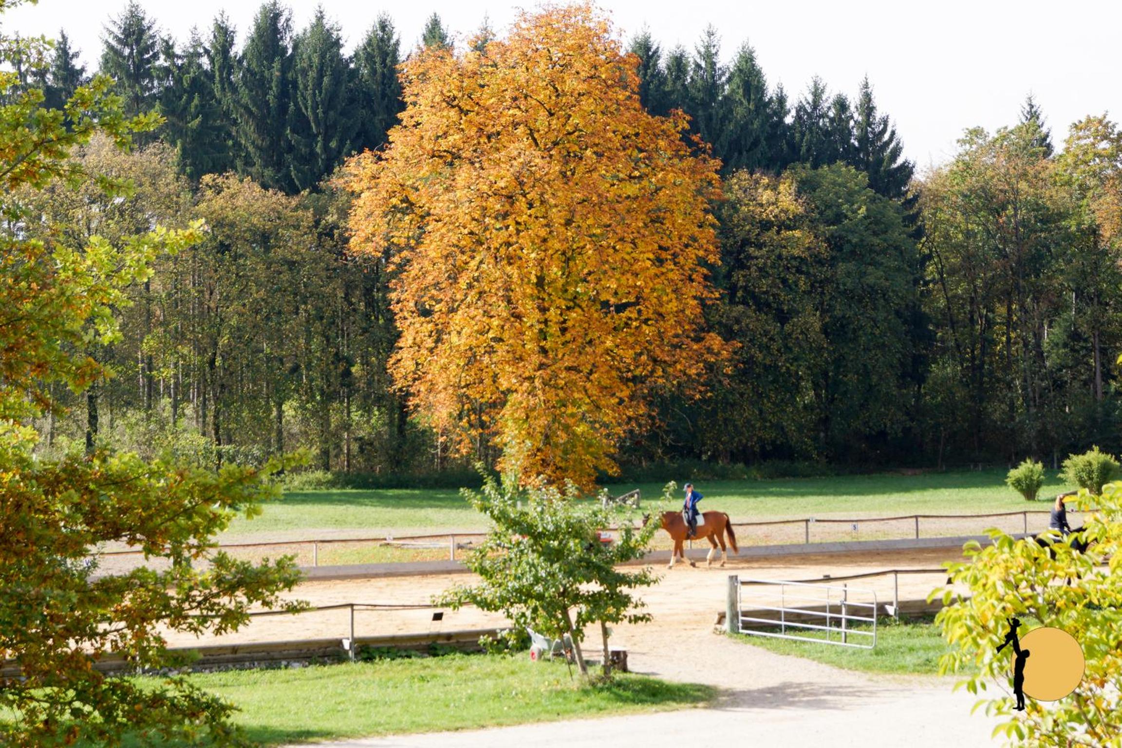 Ferienwohnungen Gut Mischenried
