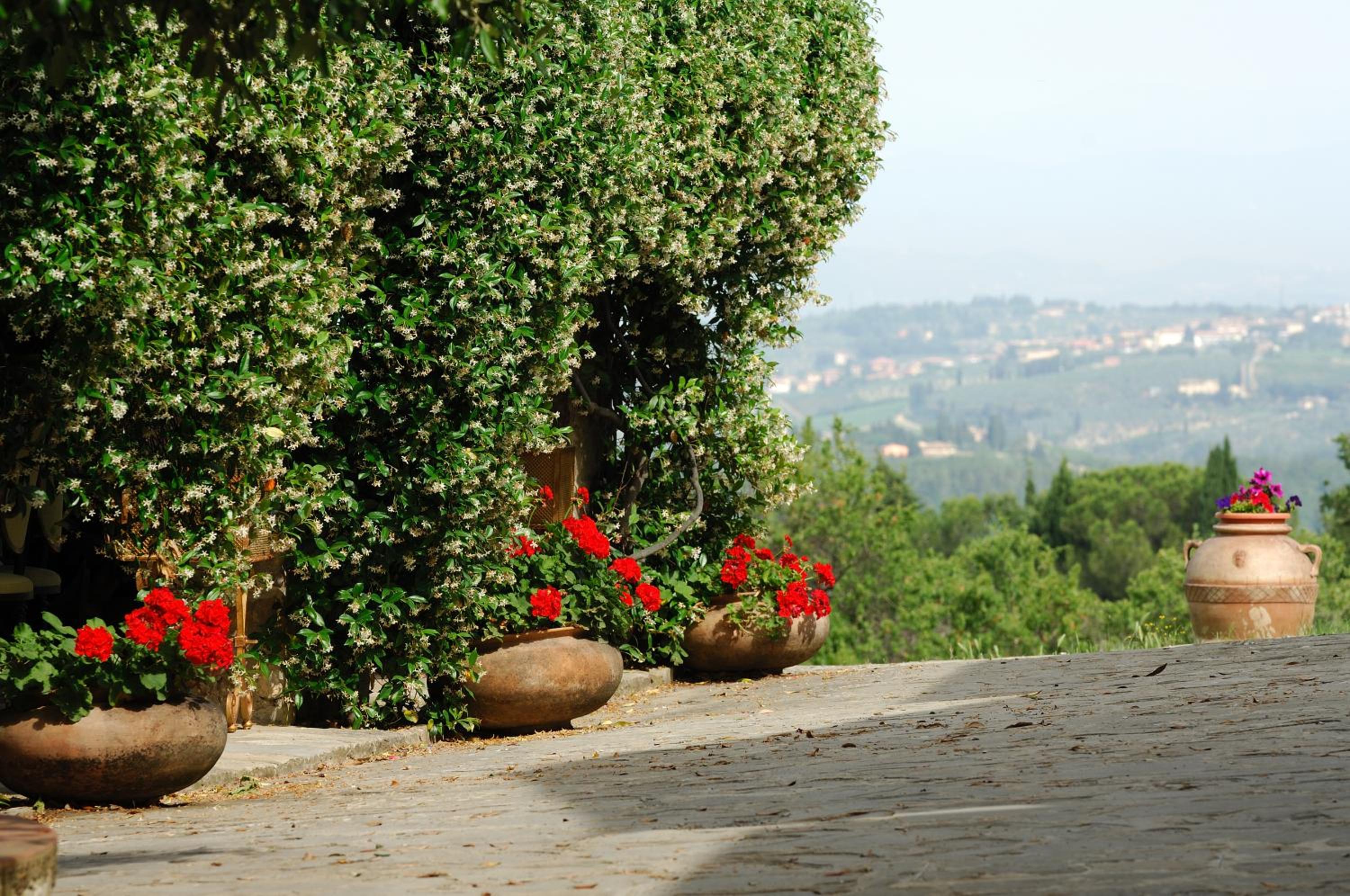 Agriturismo Podere Casacce