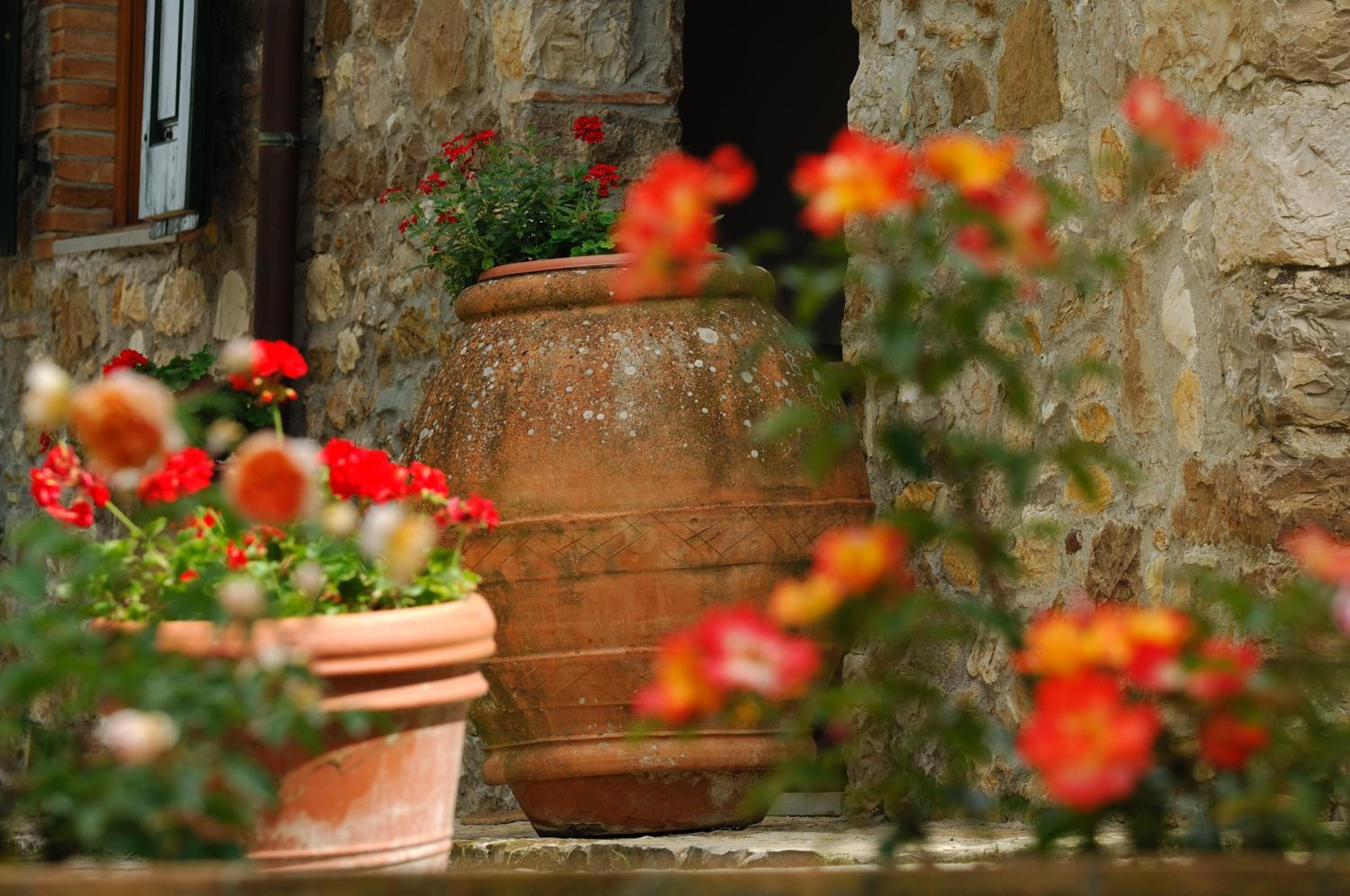 Agriturismo Podere Casacce
