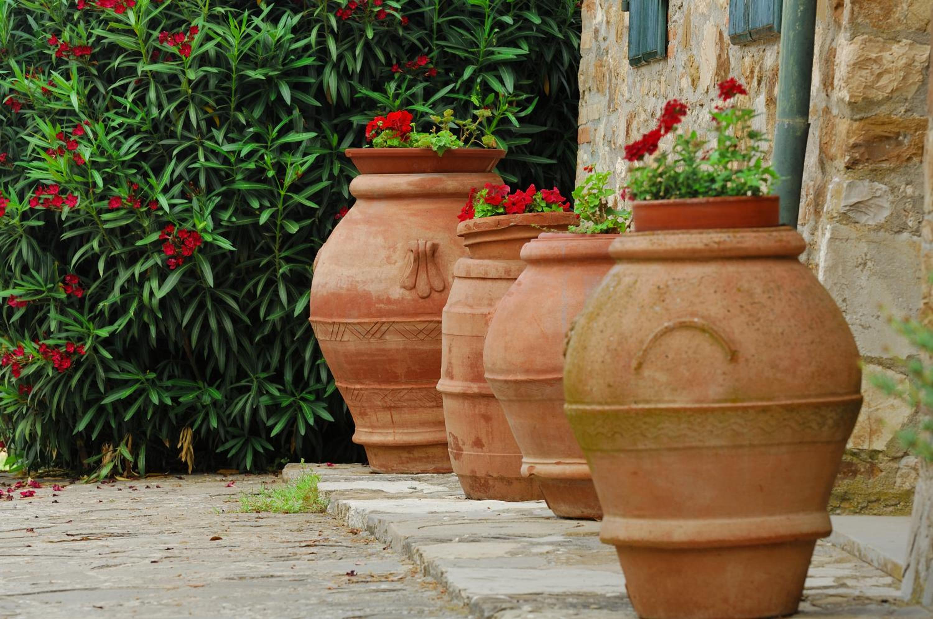 Agriturismo Podere Casacce