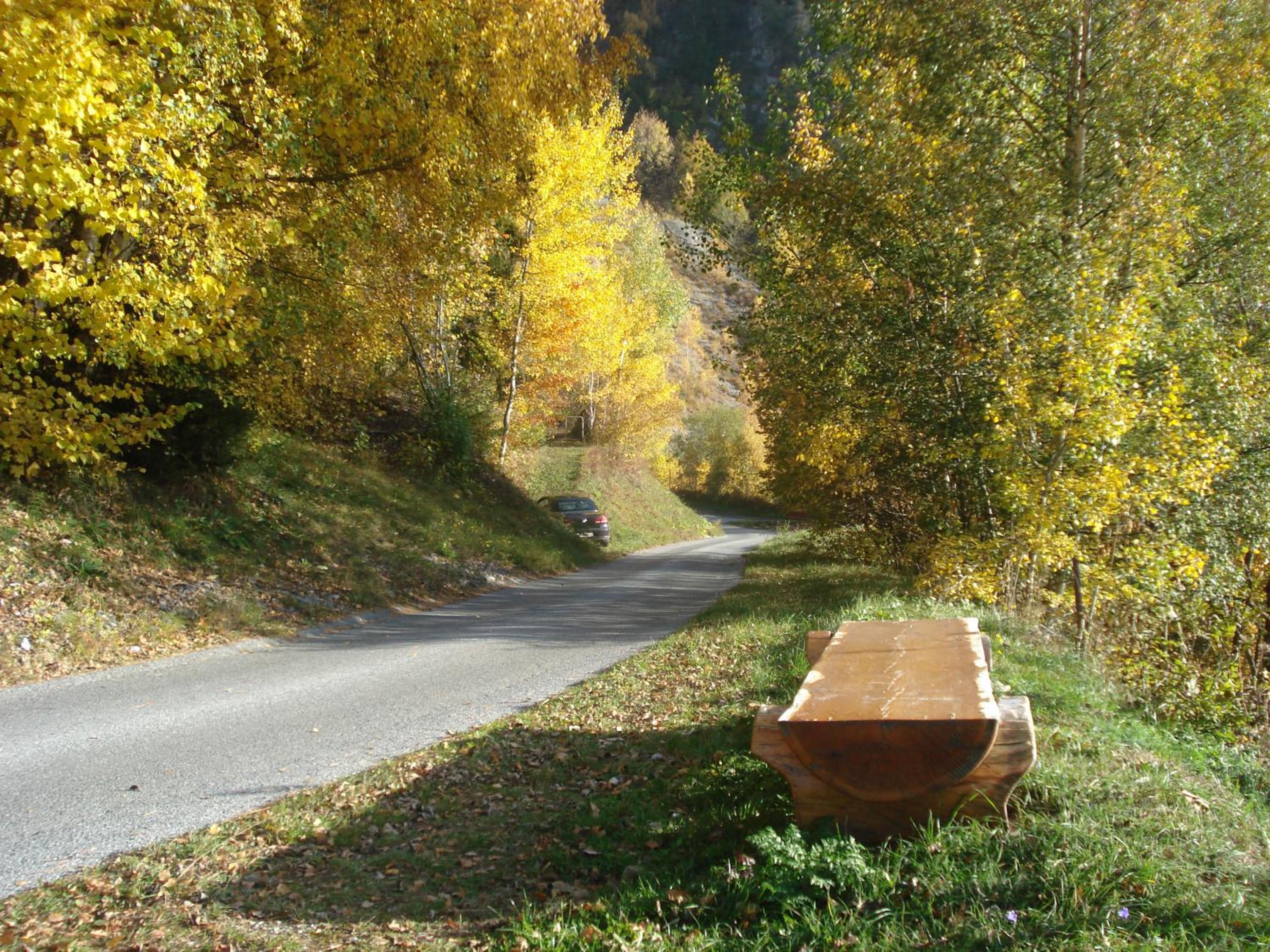 Photo 41