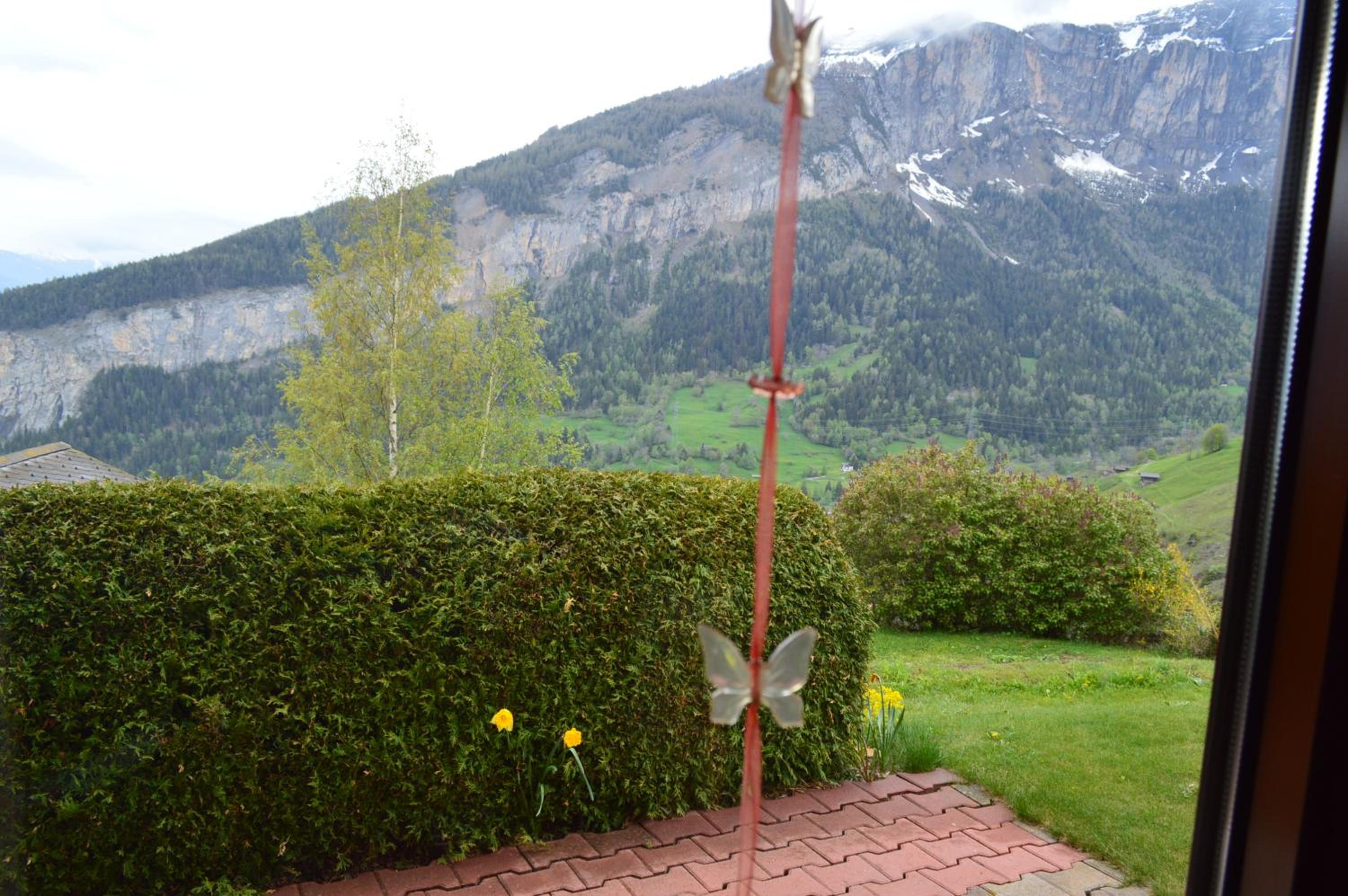 Photo 24