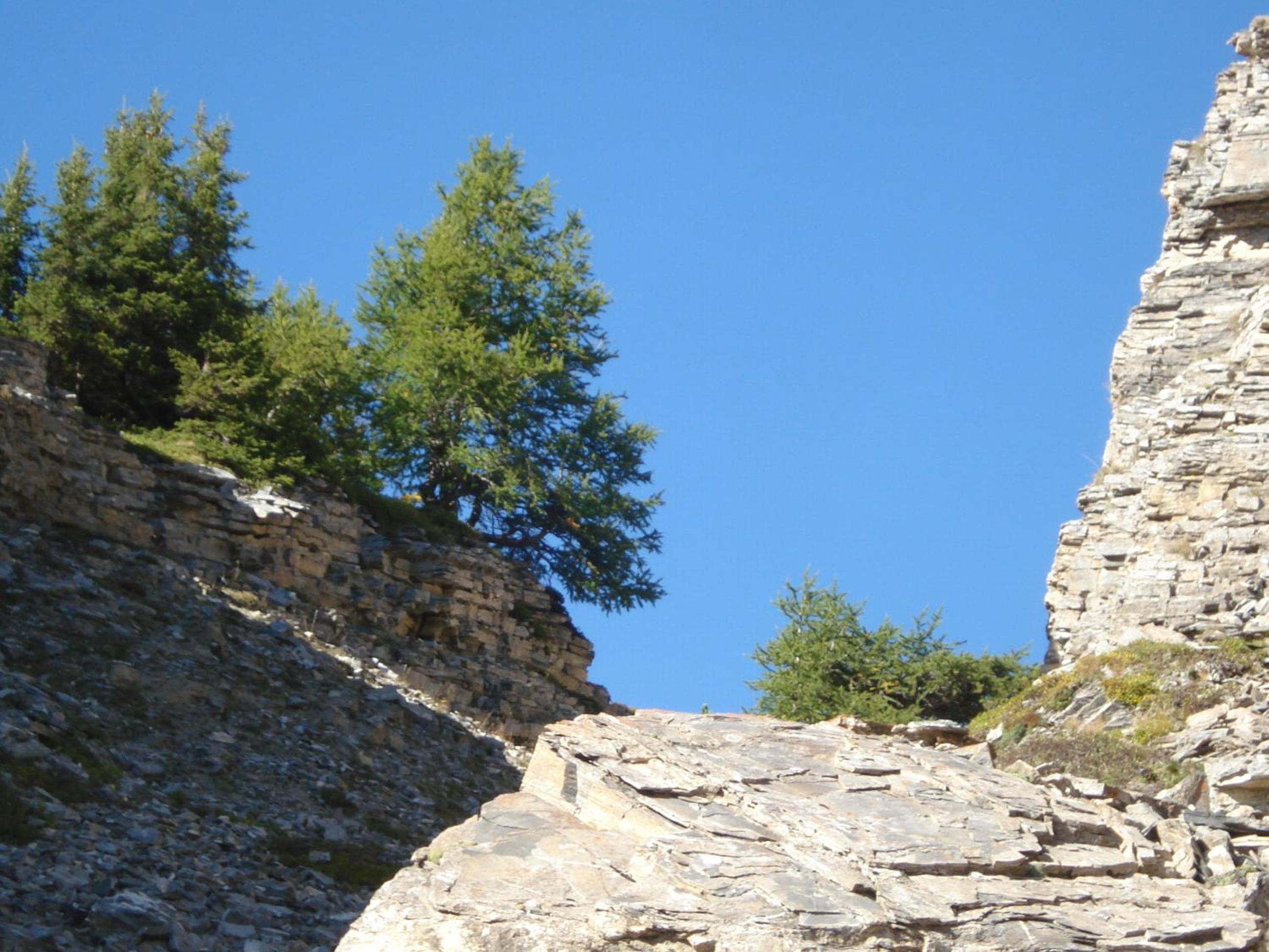 Photo 51