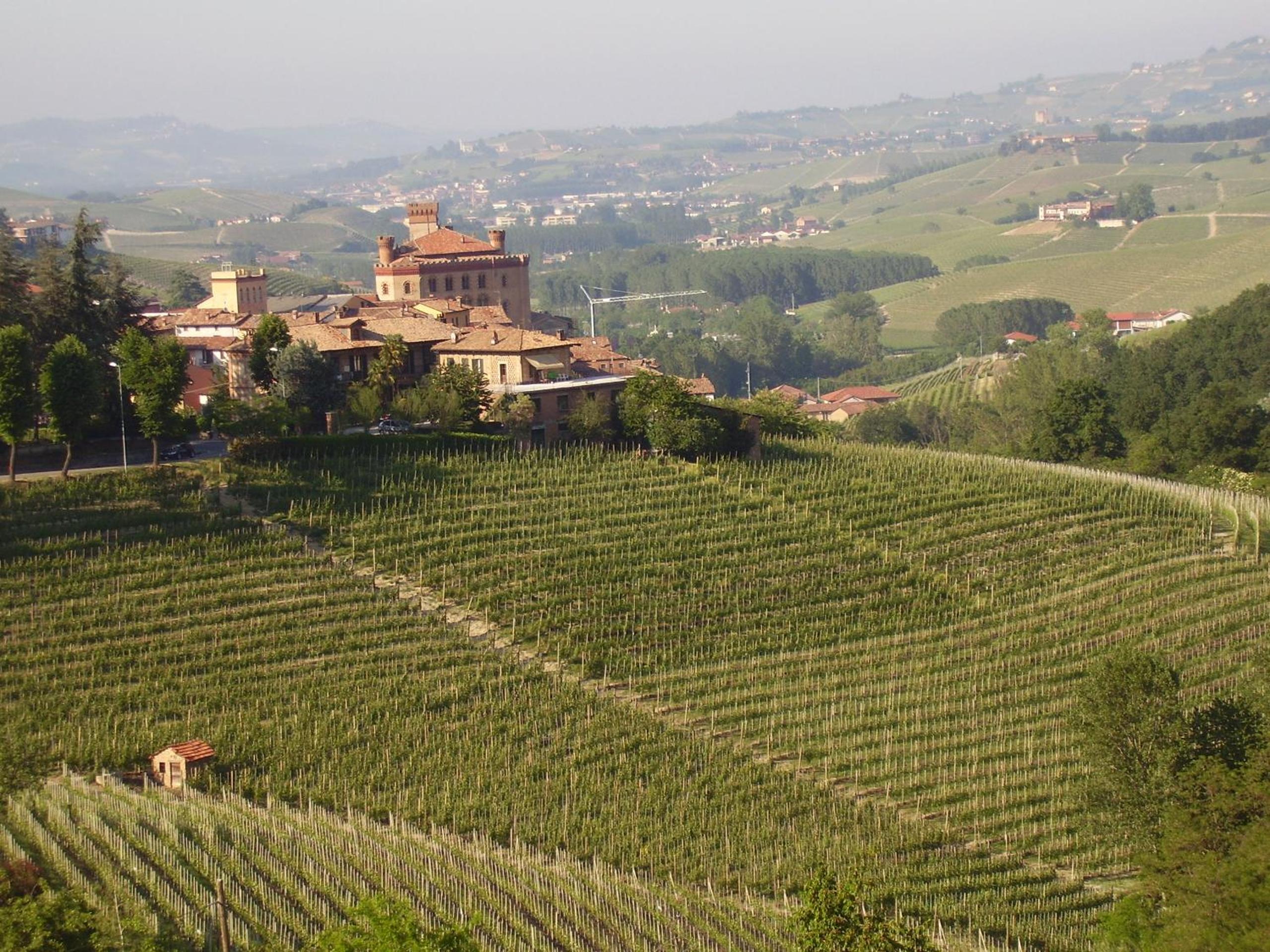 Agriturismo Il Ciabot view 2