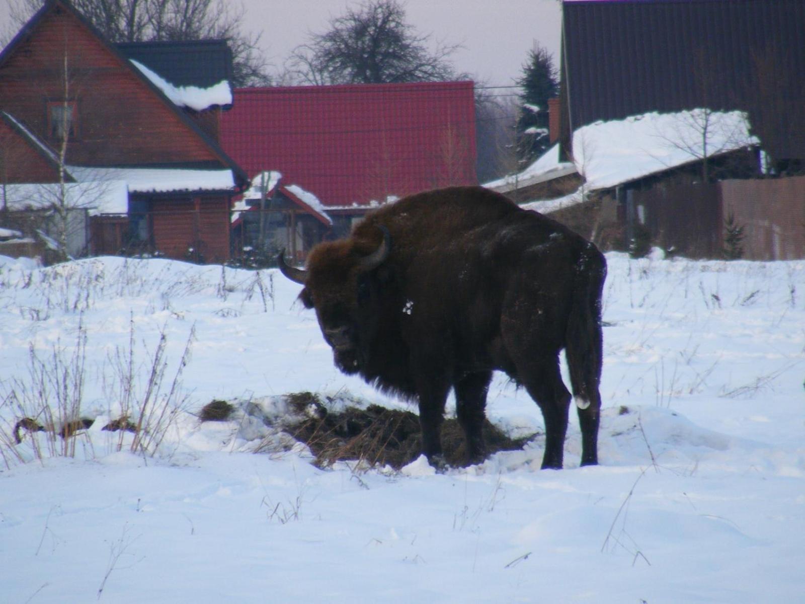 Photo 48