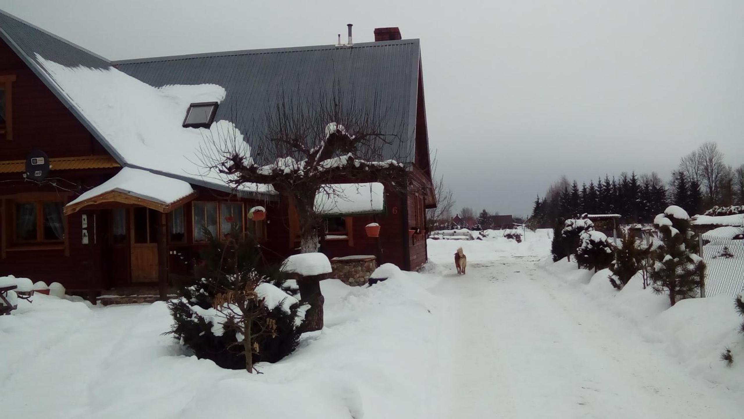 Photo 49