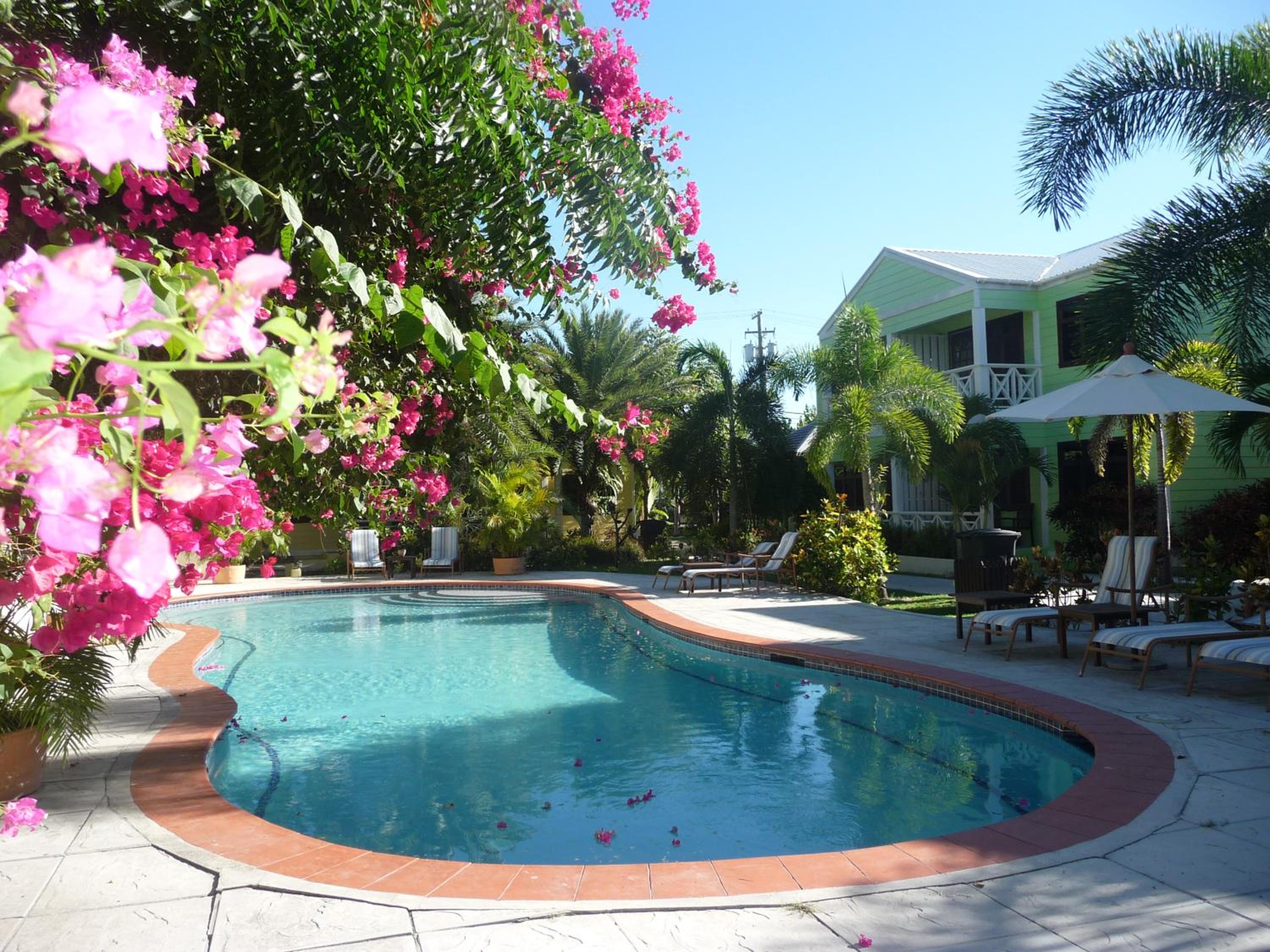 Buccaneer Beach Club - Property Image 58