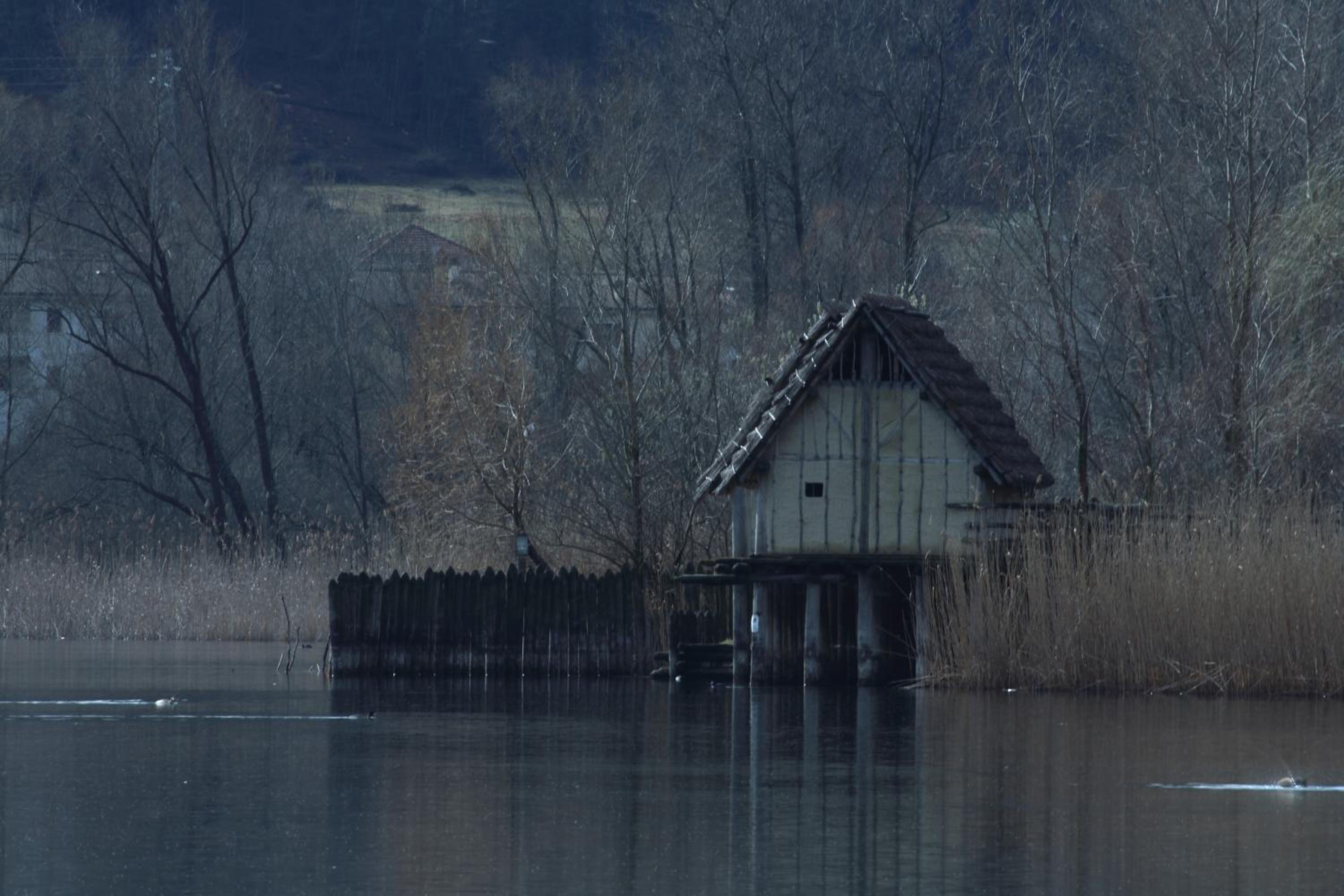 Photo 16