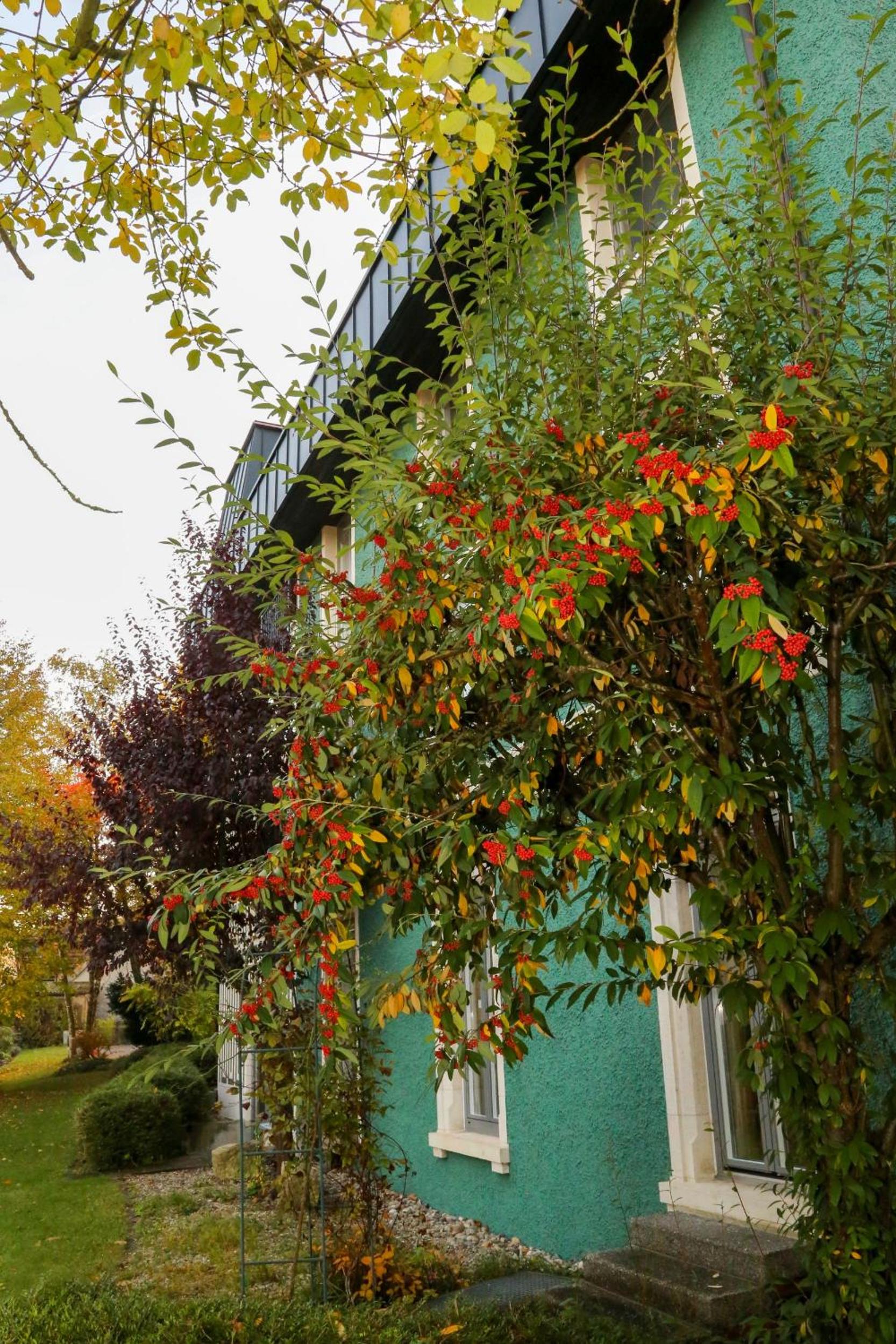 Hotel Hirsch - Property Image 41