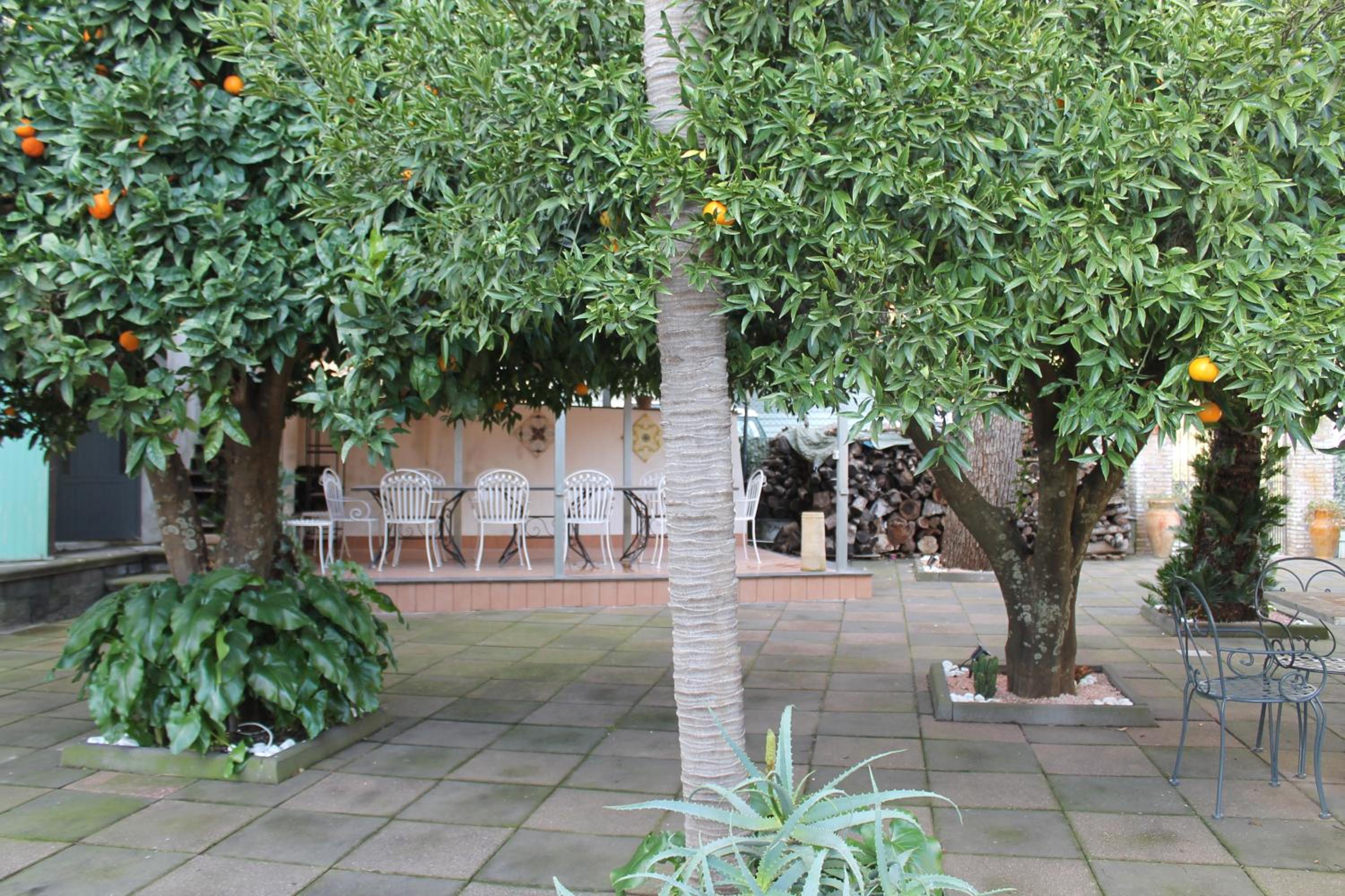 Alla Casa di Antonio view 3