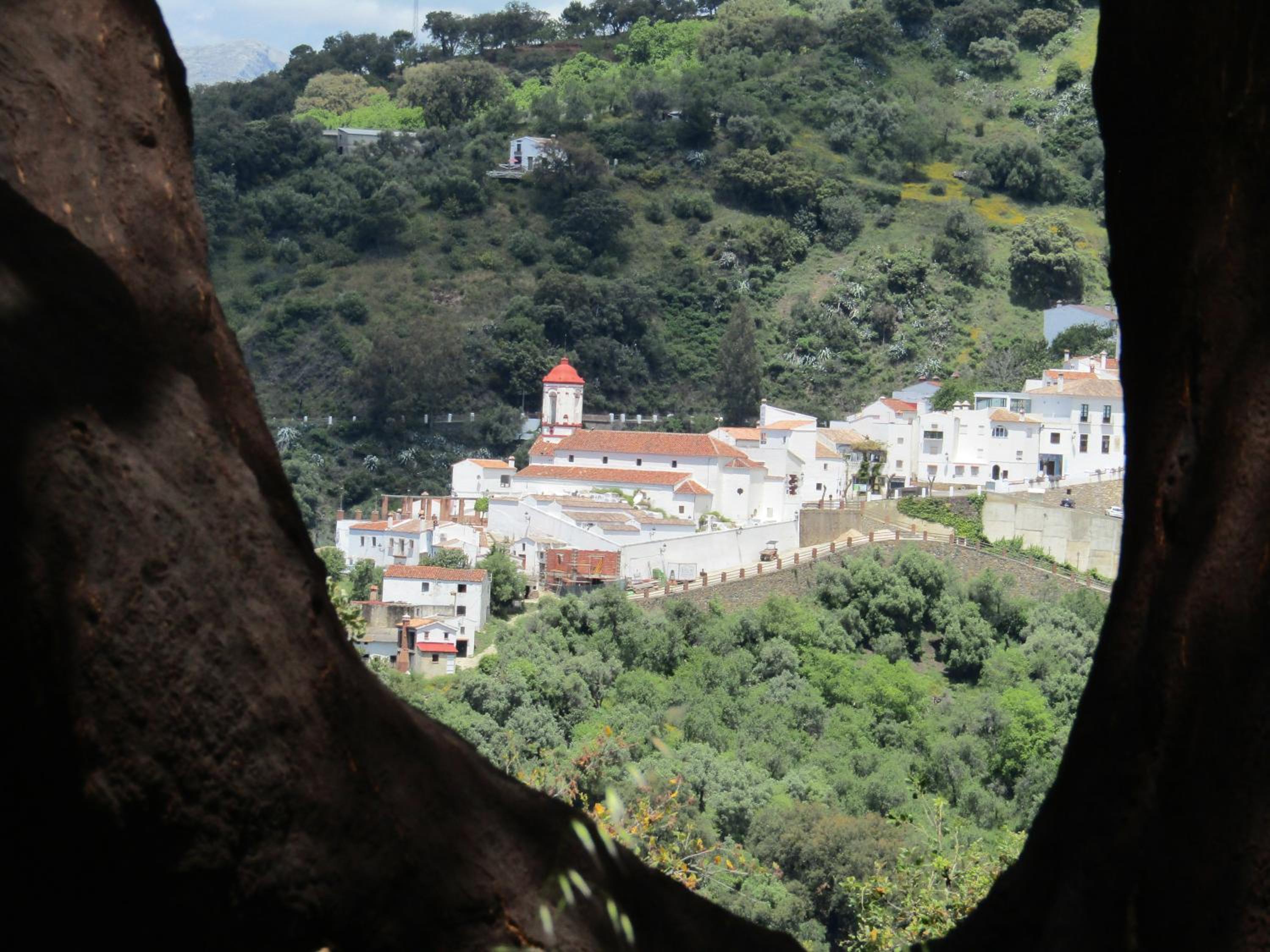 La Posada del Recovero view 2