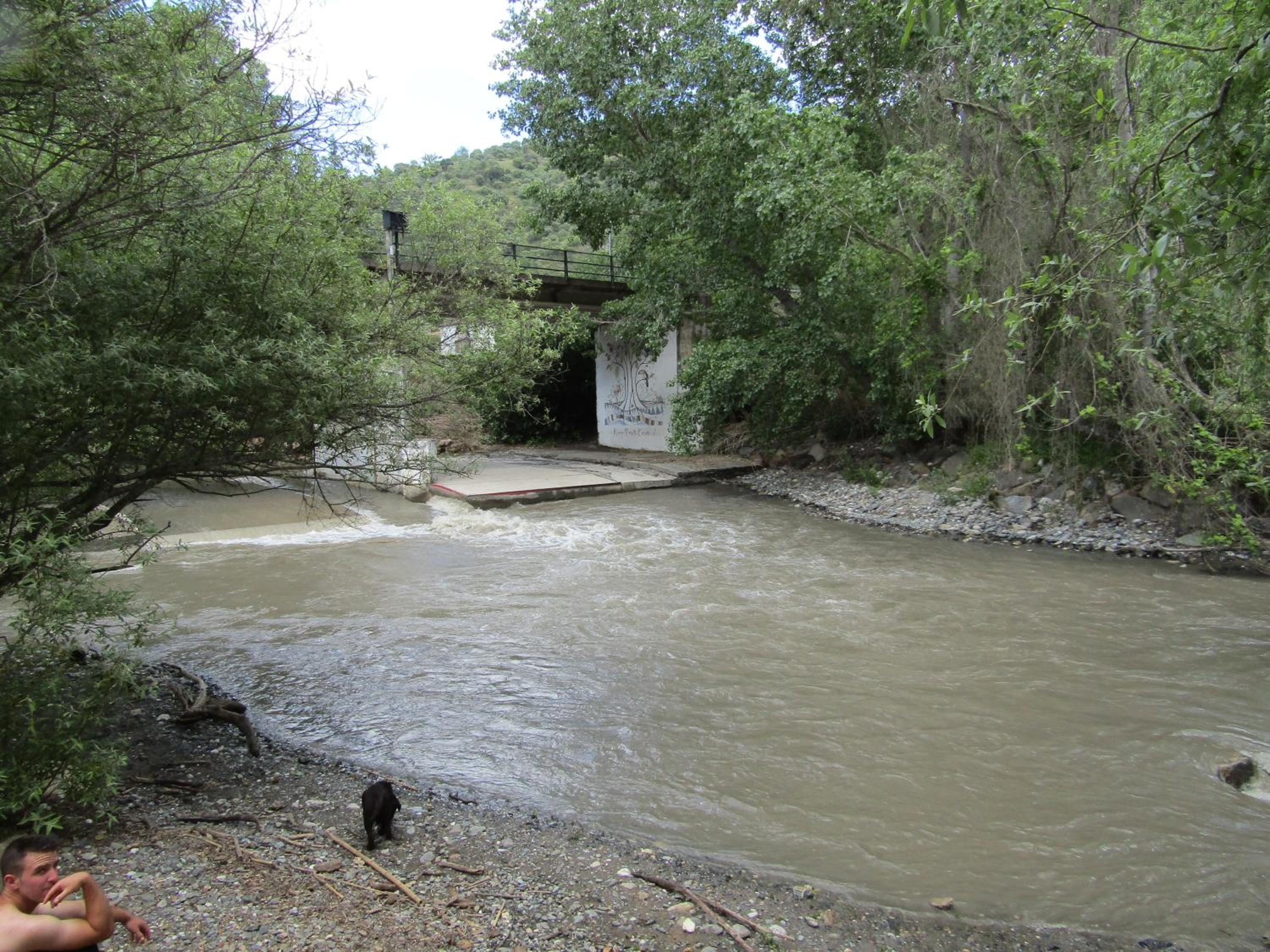 other