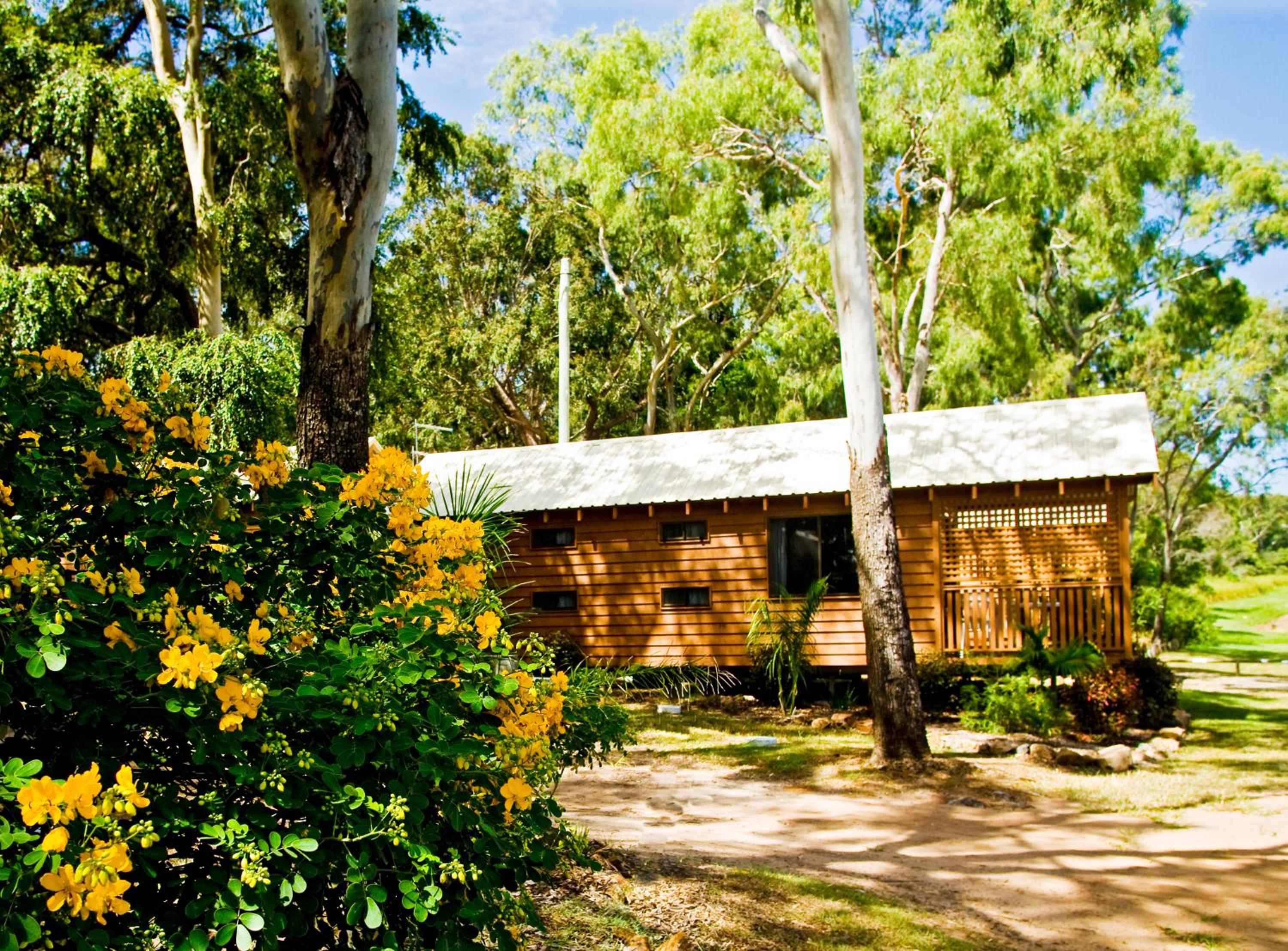 1770 Holiday Village