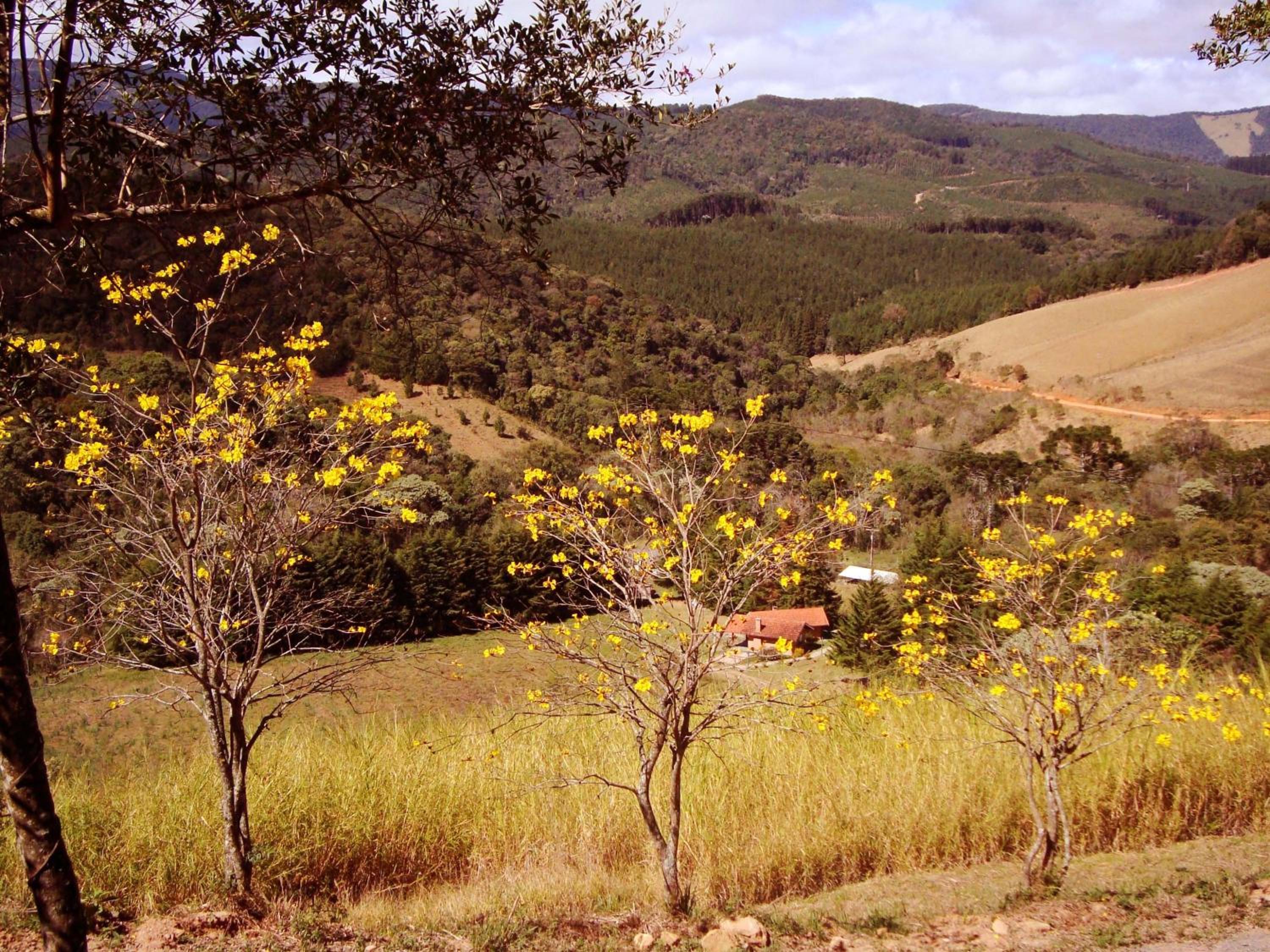 Chales Estrada de Chão