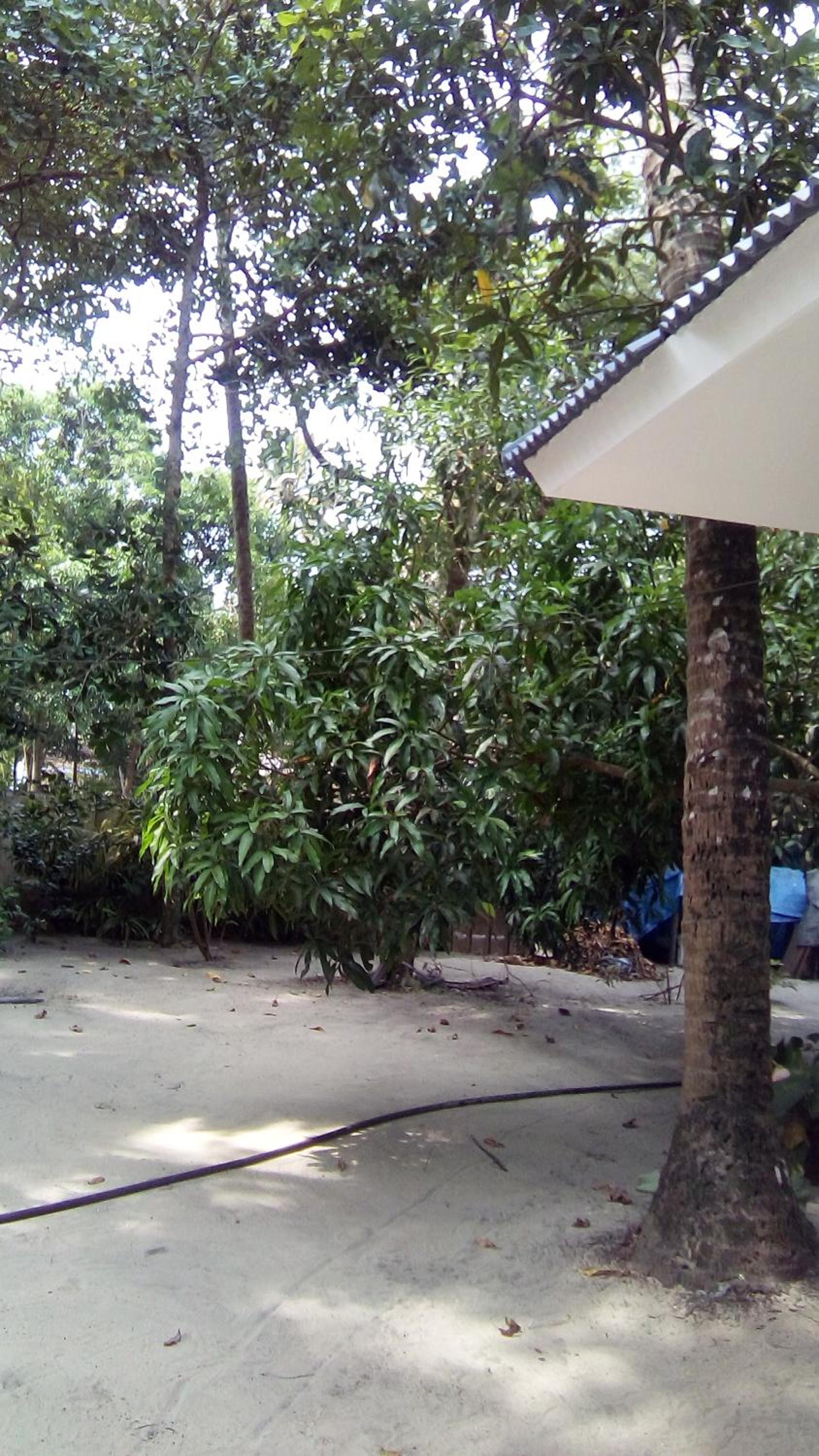 Marari Neena Beach homestay view 2