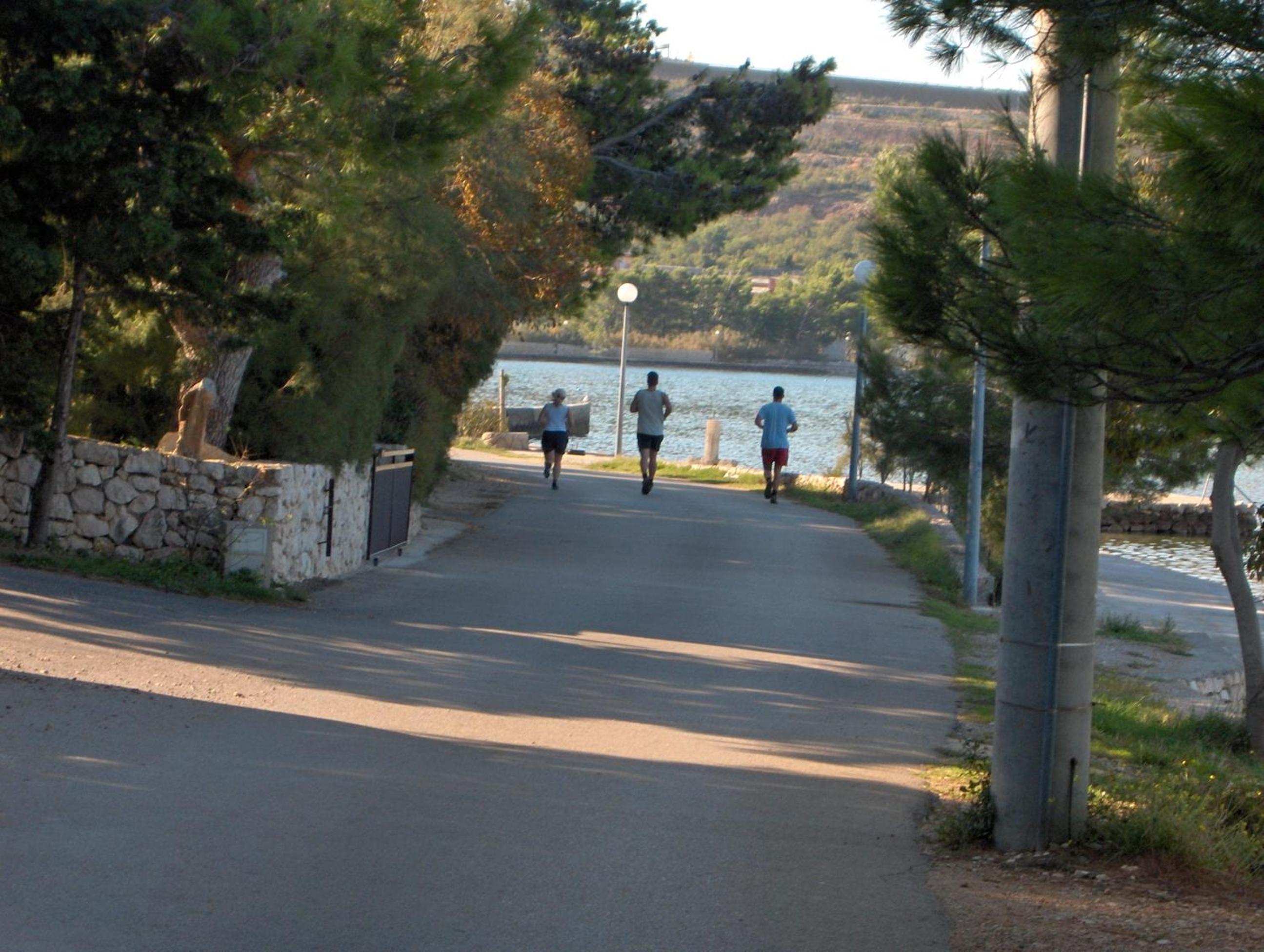 Photo 8