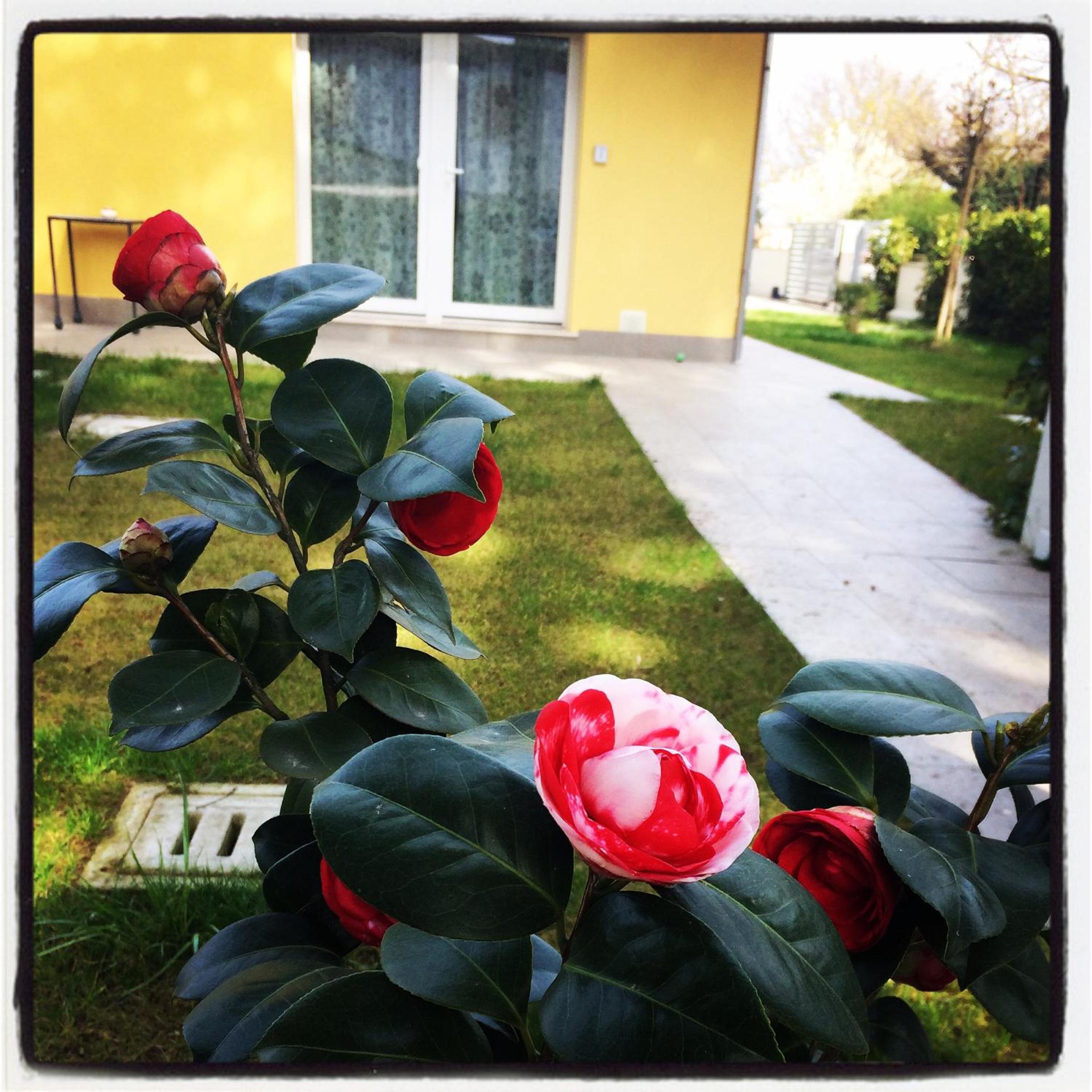 Photo 32