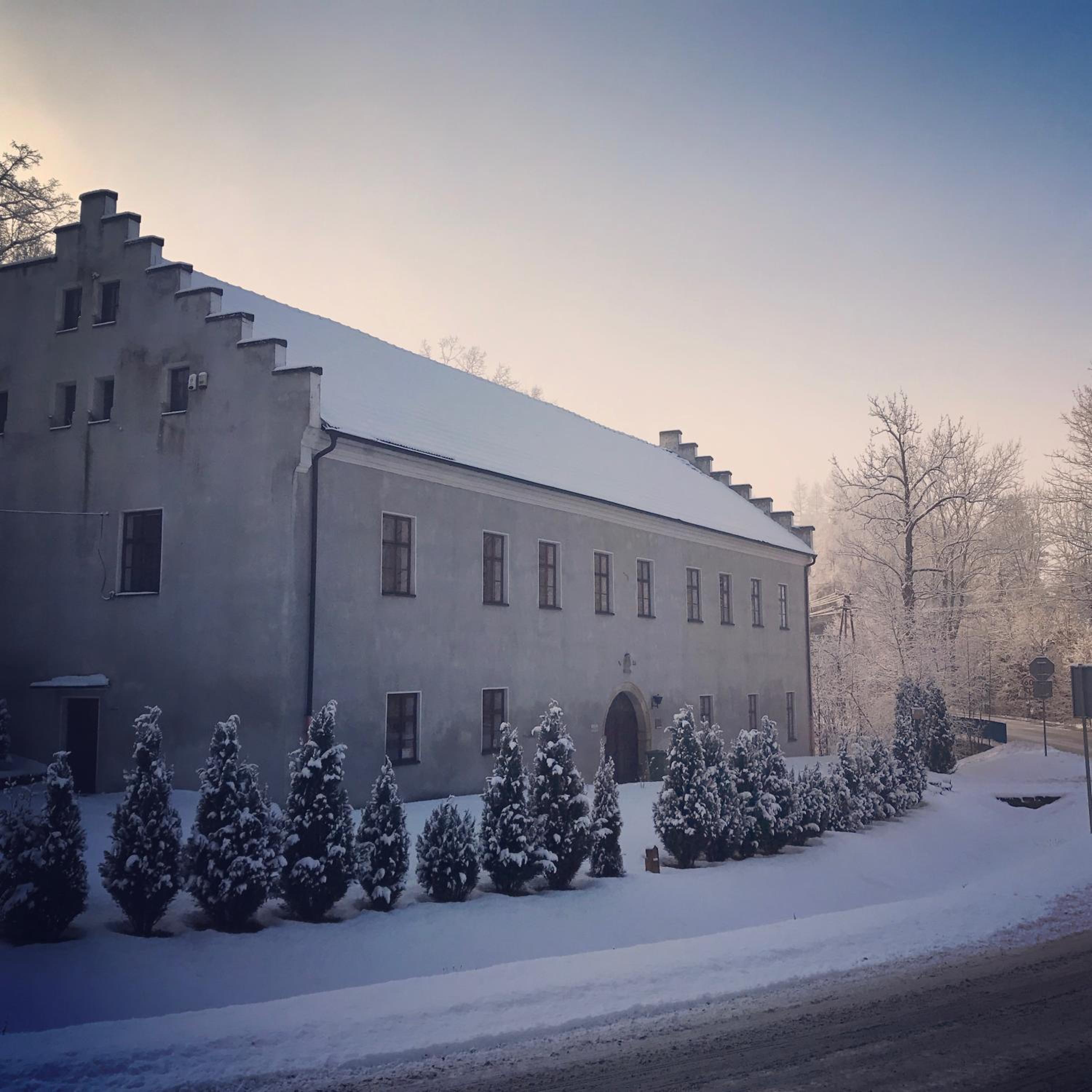 Zamek w Dzięgielowie view 4
