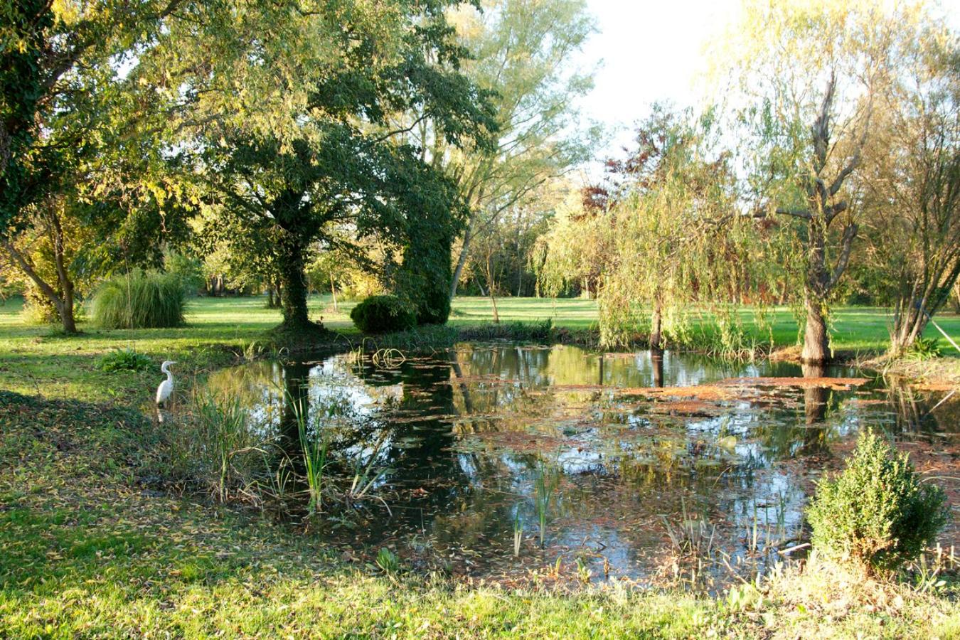 maison près de l'eau, photo 10