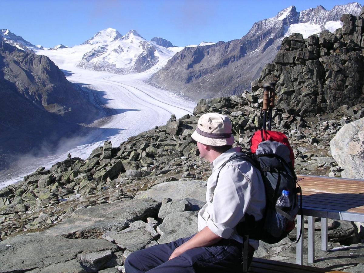 Chalet des Alpes