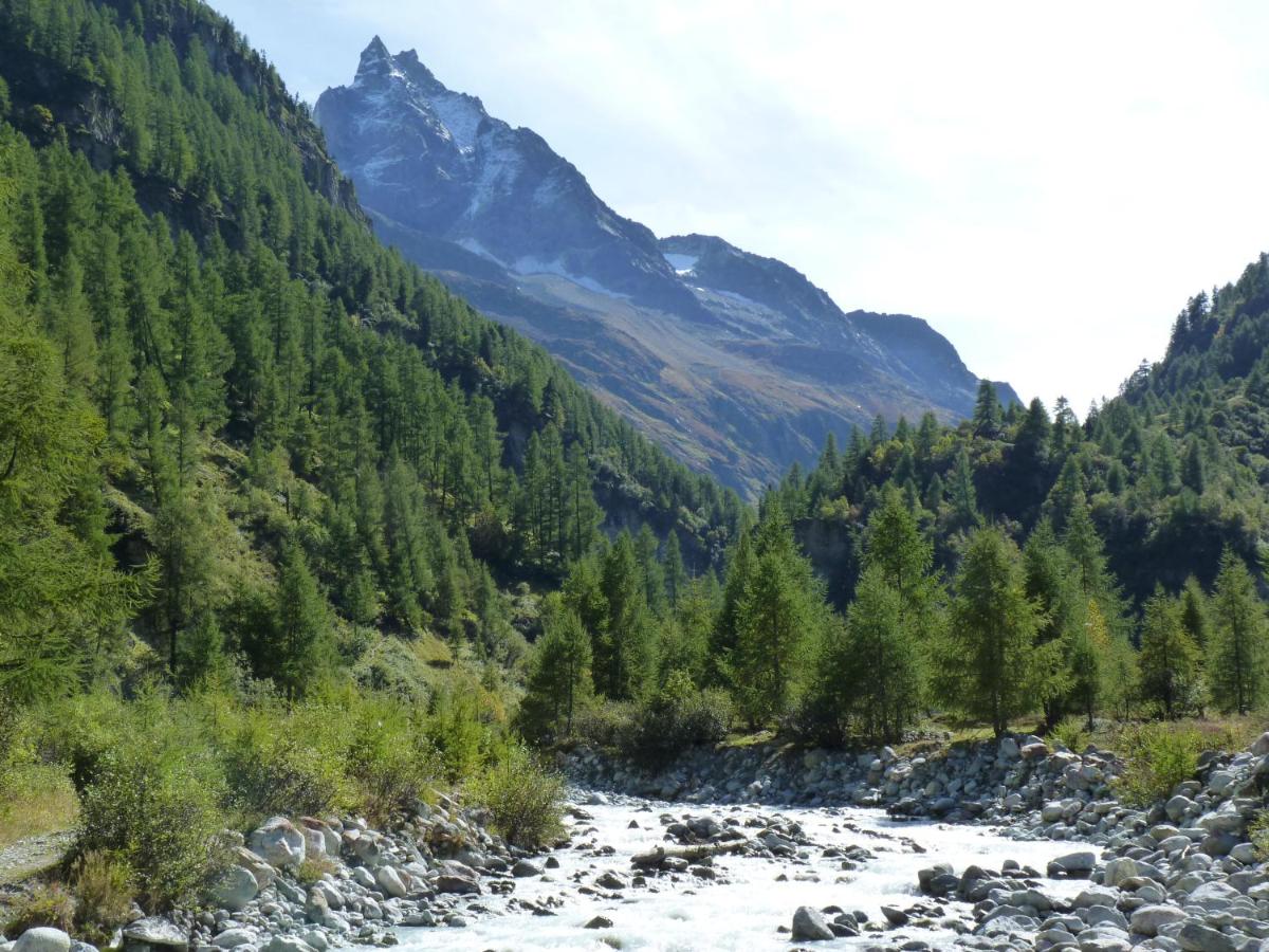 Chalet des Alpes