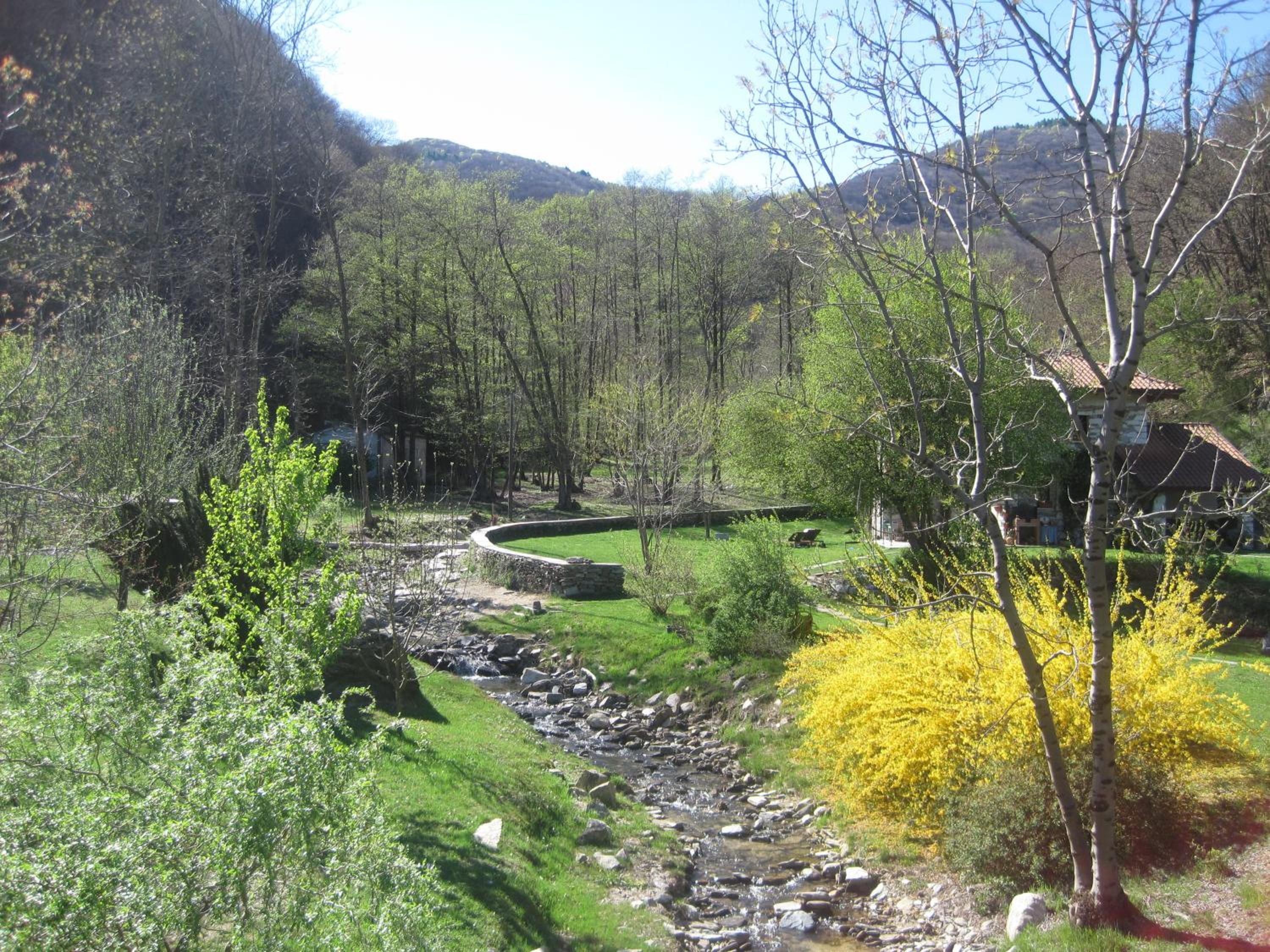 Photo 11