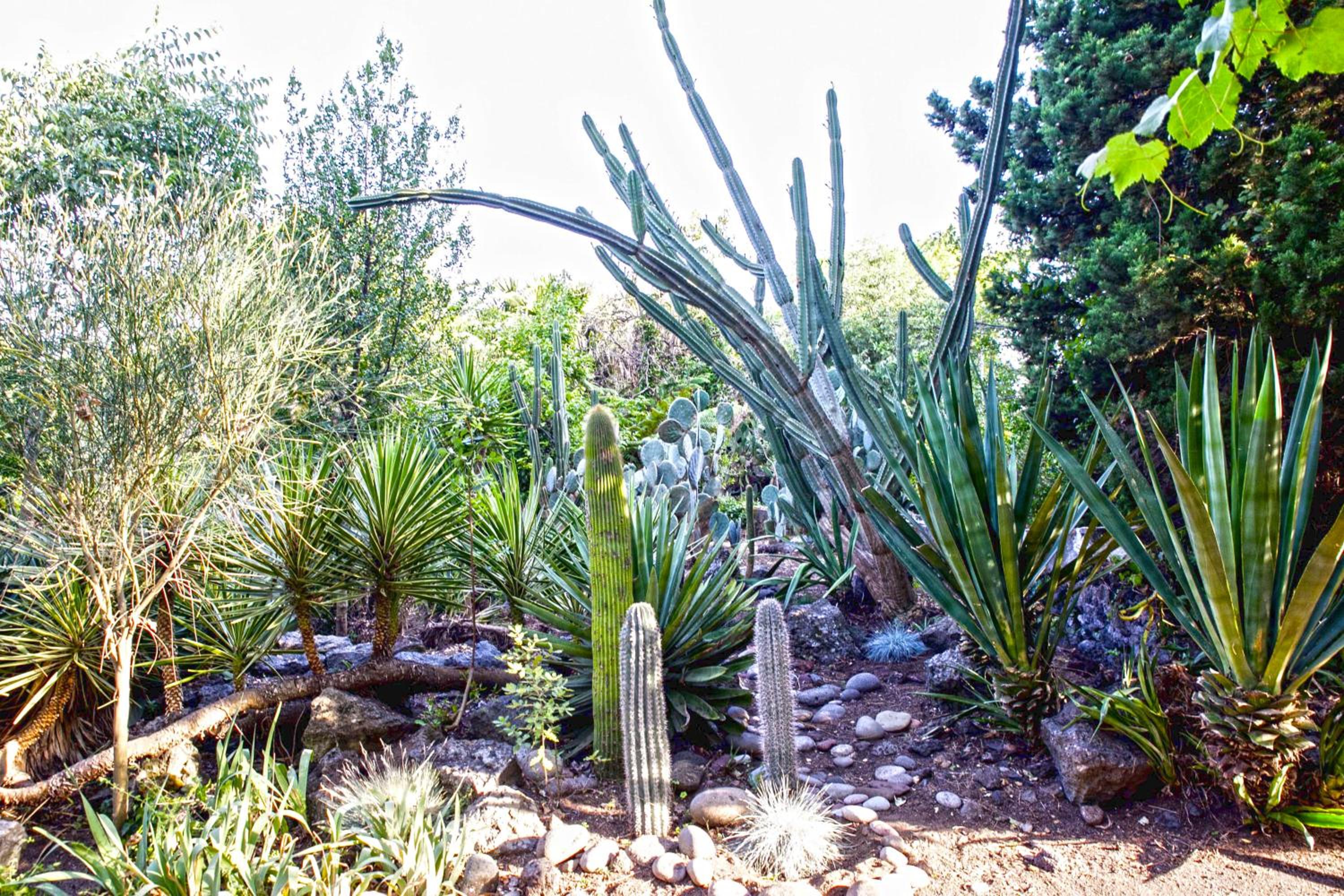 Etna Botanic Garden
