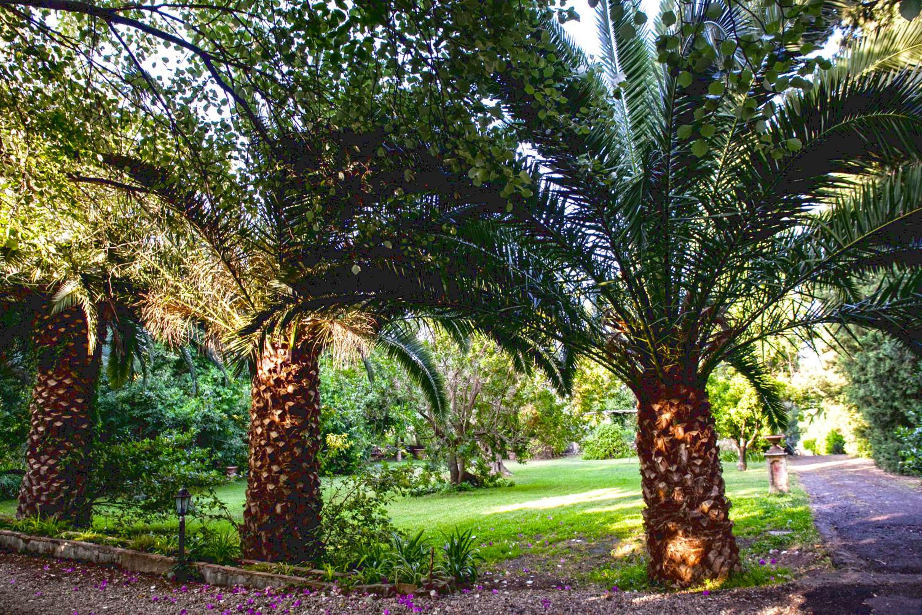 Etna Botanic Garden