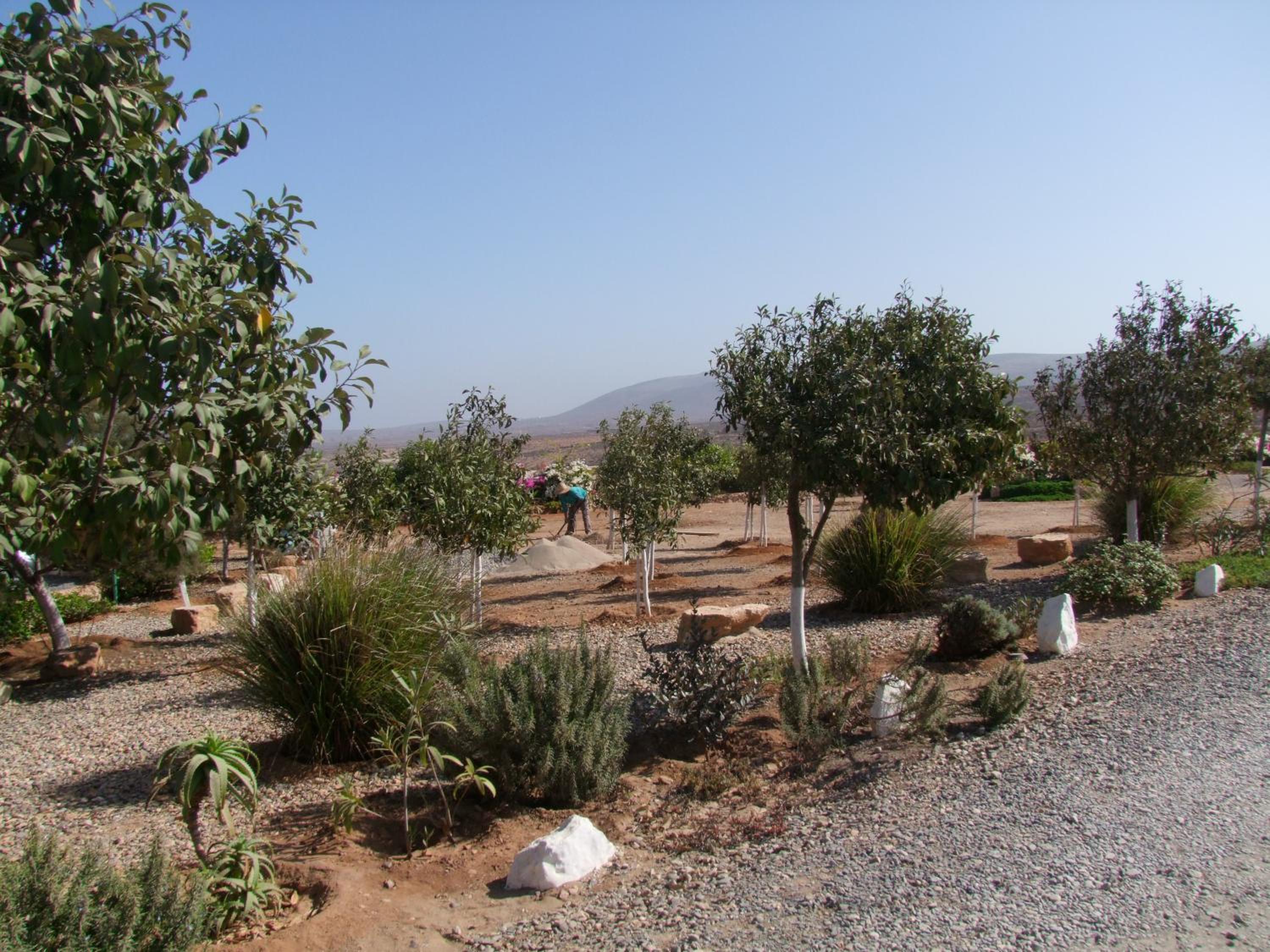 Photo 18
