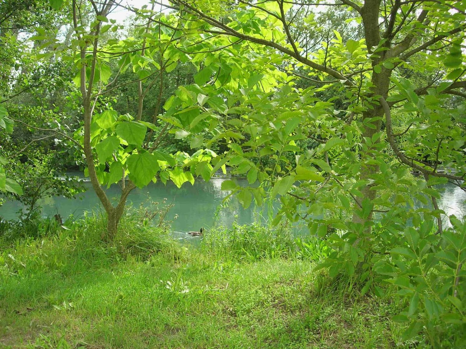 Domaine des Petits Cancets view 2