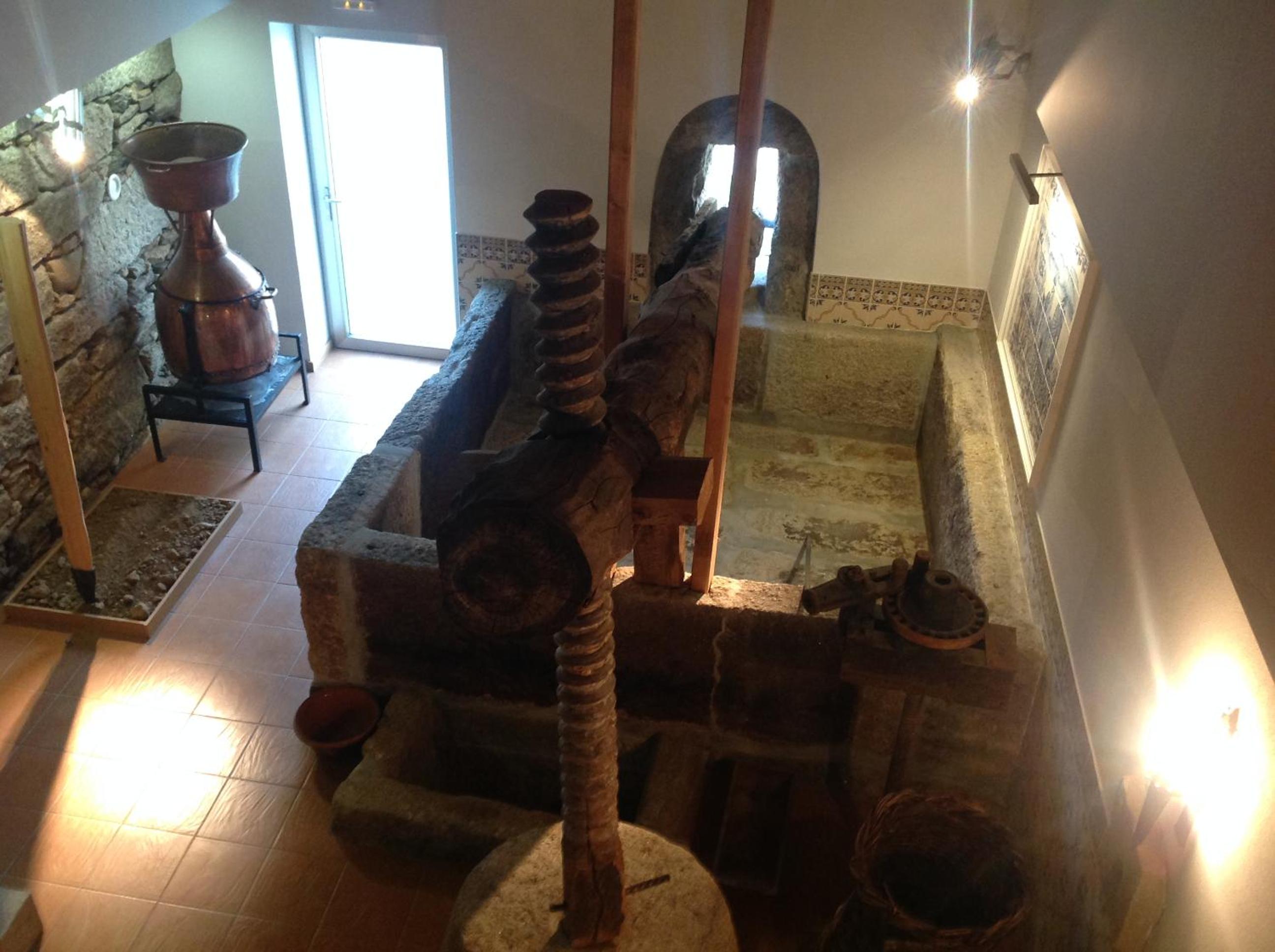 Photo 44