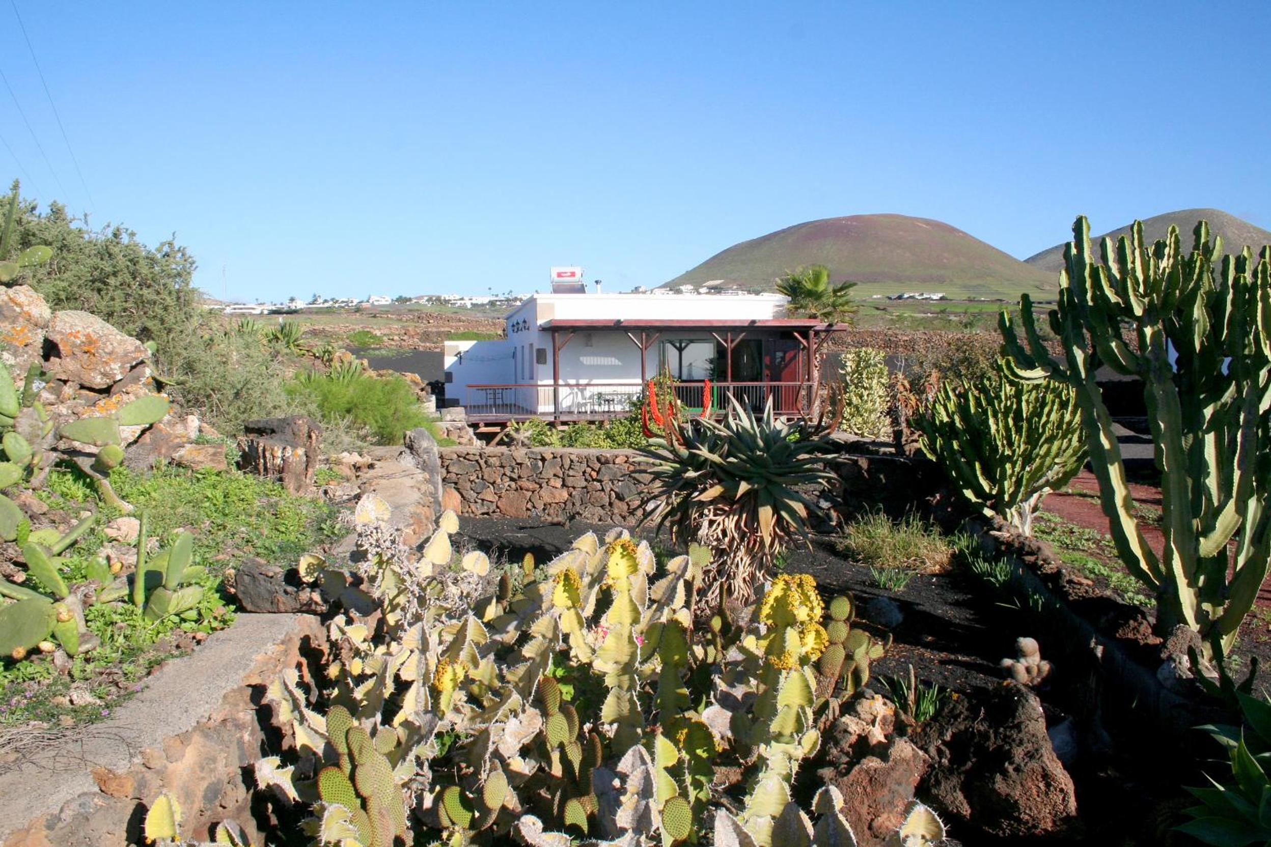 Photo 19
