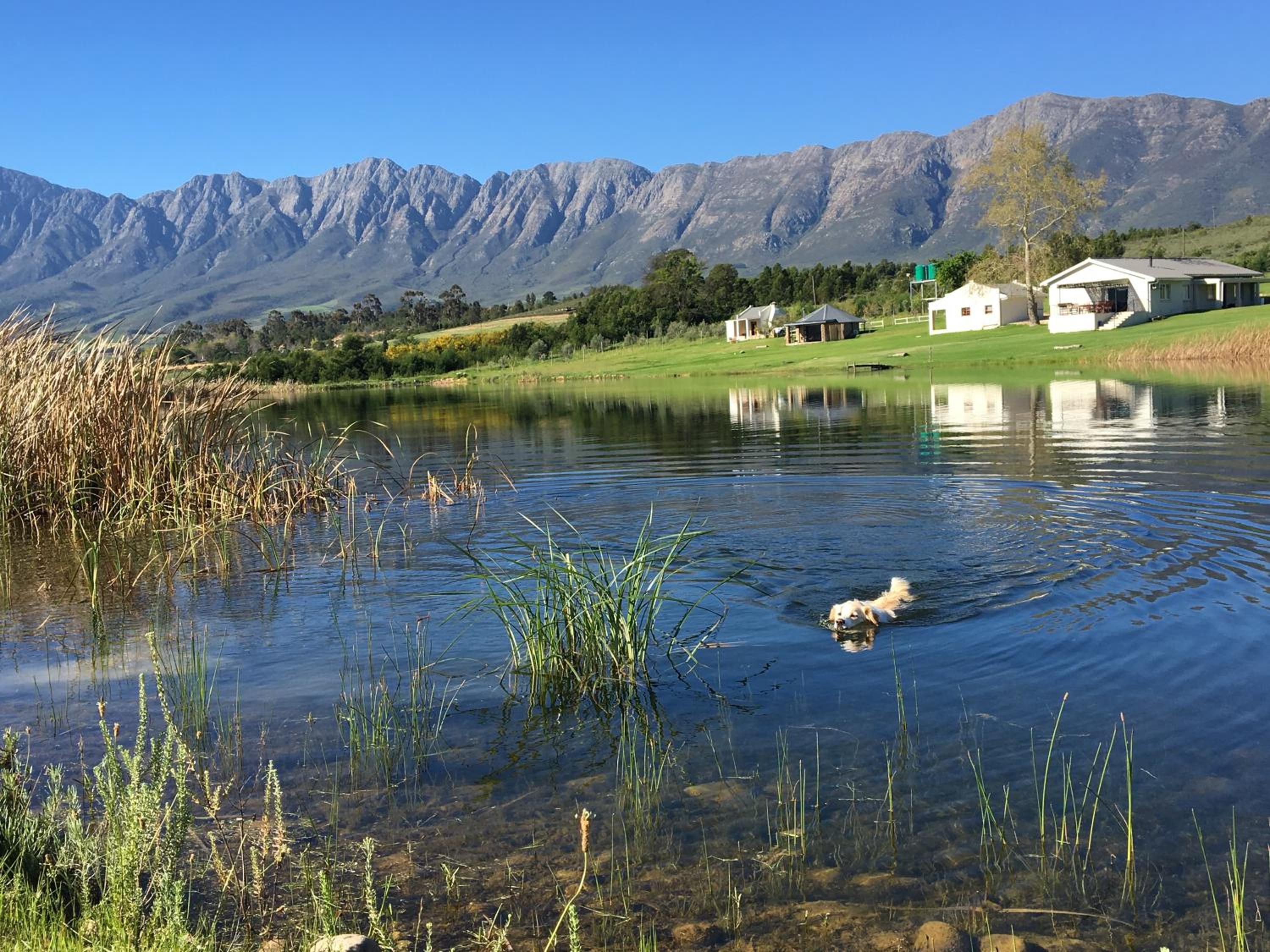Reflections Guest Farm